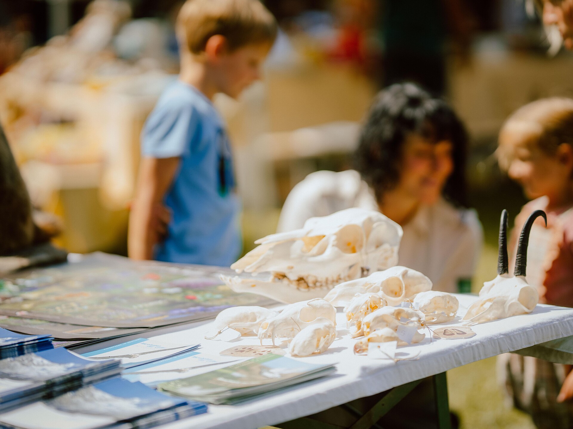 Infostand: Naturpark "Rieserferner Ahrn" - Dolomitenregion Kronplatz - #1 - suedtirol.info