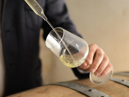 Scopri il mondo di un viticoltore indipendente Appiano sulla Strada del Vino 1 suedtirol.info