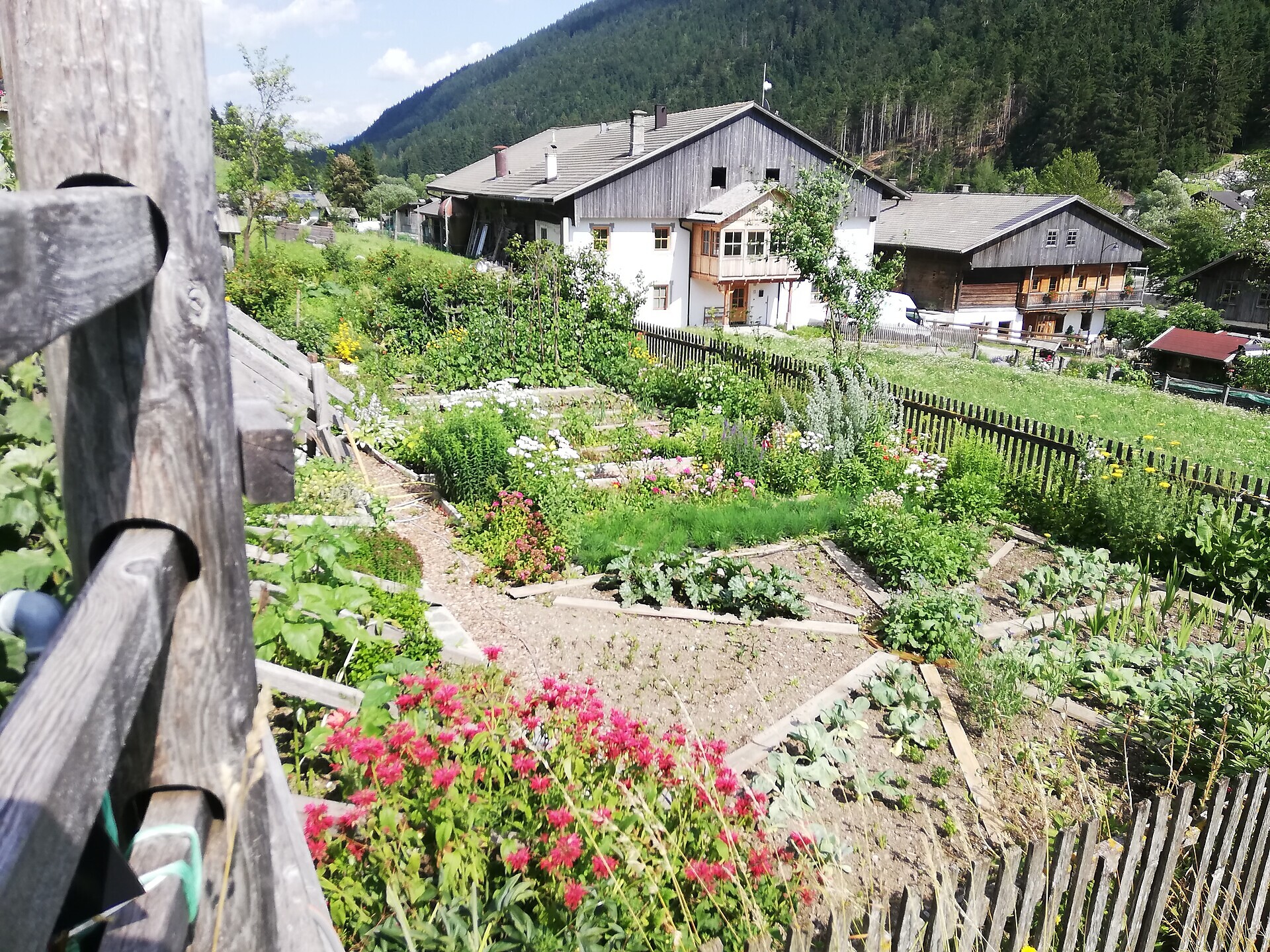 Innichen Active: visit of the Huberhof farm Innichen/San Candido 2 suedtirol.info