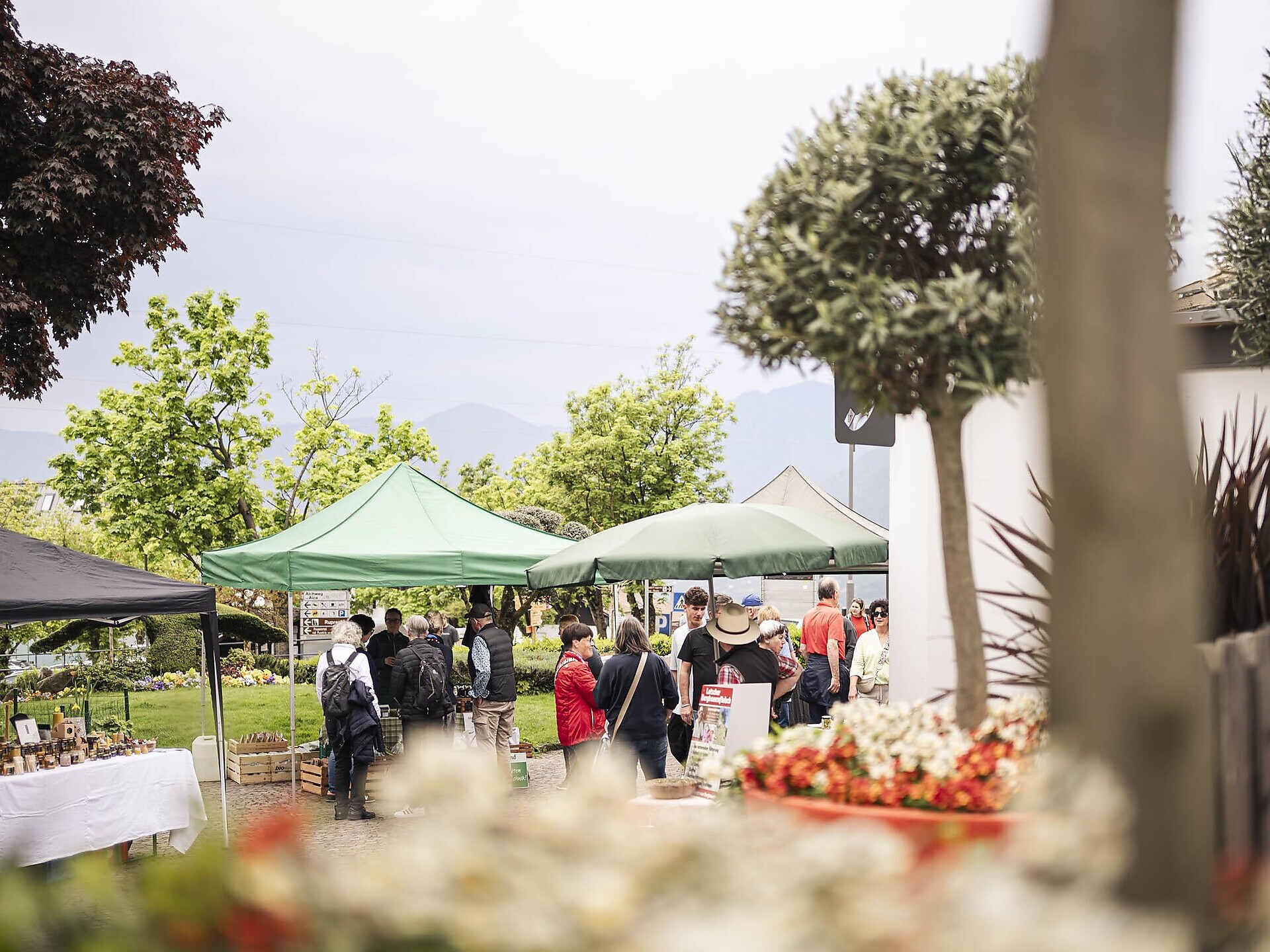 Inser Markt'l in Dorf Tirol Tirol 1 suedtirol.info