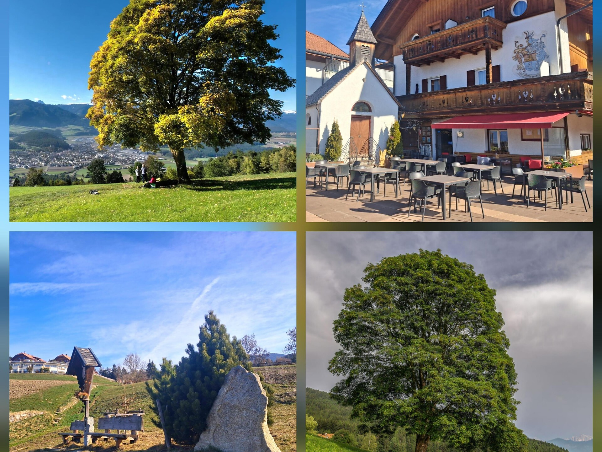 In the heart of the Puster Valley: a circular walk to the Tree of Love - Dolomites Region Kronplatz/Plan de Corones - #3 - suedtirol.info
