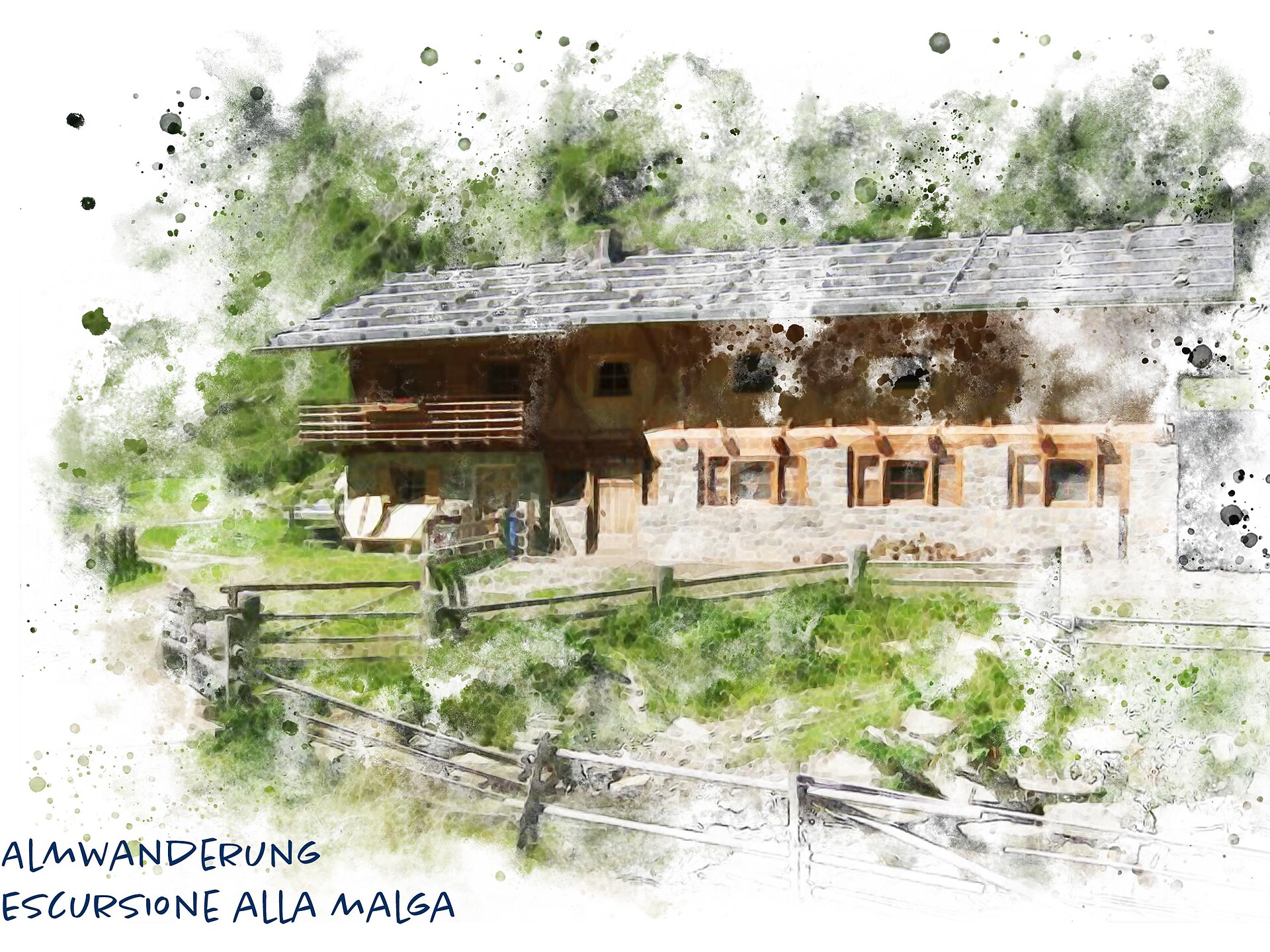 Giornate dello Yogurt: Escursione alla malga Bergalm - Vipiteno e dintorni - #1 - suedtirol.info