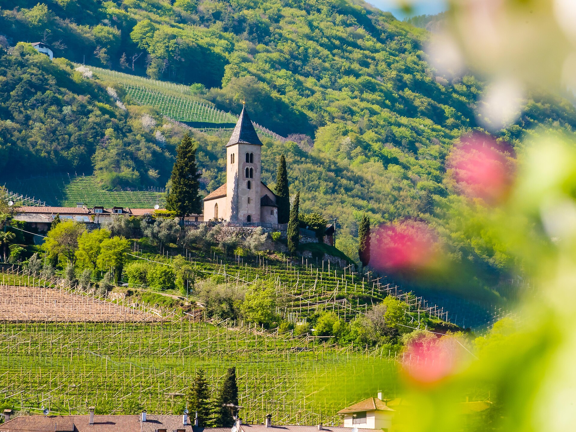 Jakobifest - Kirchtag - Südtiroler Weinstraße - #3 - suedtirol.info