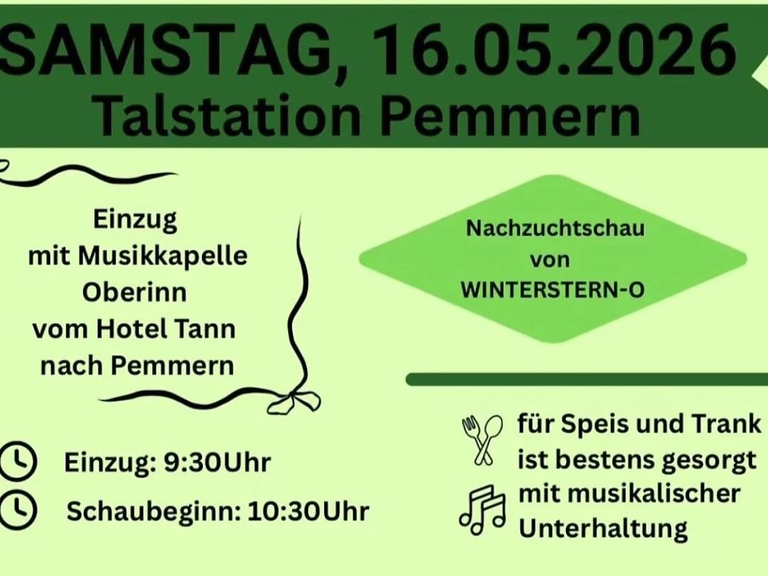 Jubiläumsschau – 80 Jahre Haflinger Pferdezuchtverein Ritten - Bozen und Umgebung - #2 - suedtirol.info