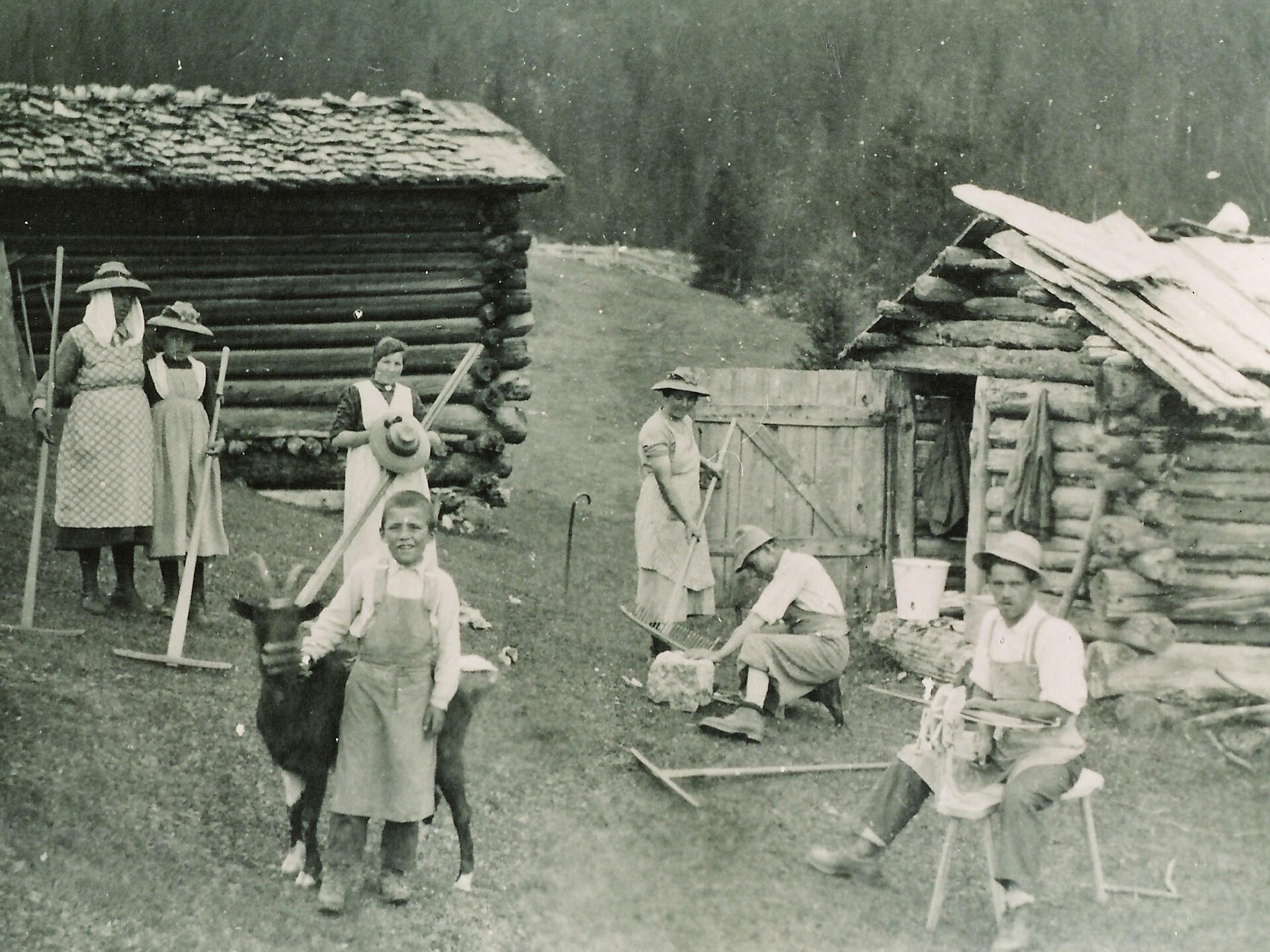 I jun a munt - Traditionelles Mähen der Bergwiesen La Val 1 suedtirol.info