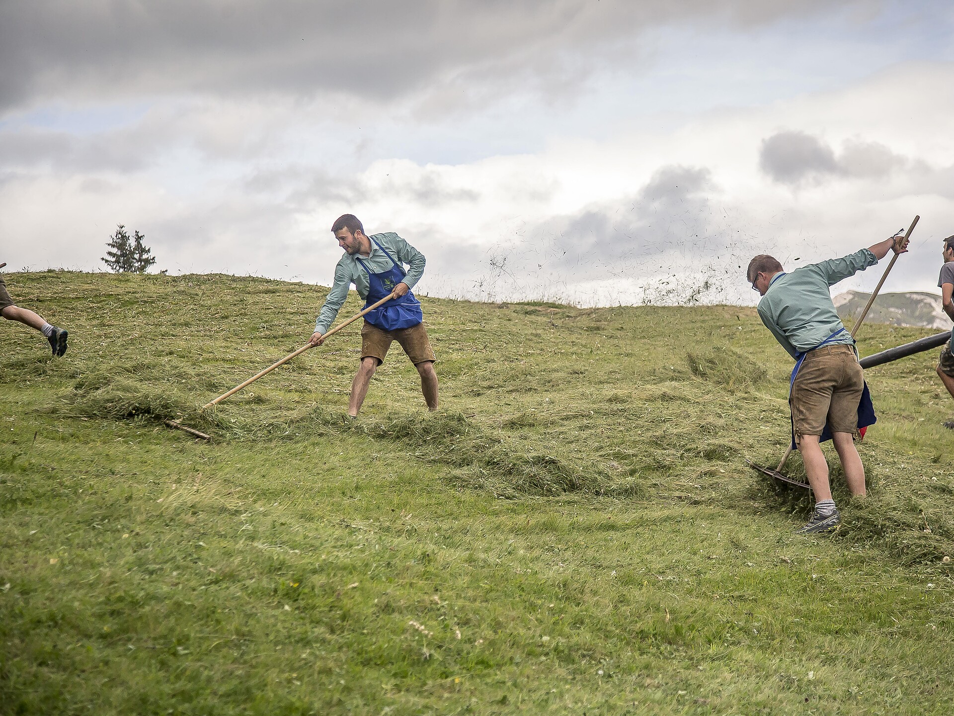 I jun a munt - Traditionelles Mähen der Bergwiesen La Val 2 suedtirol.info