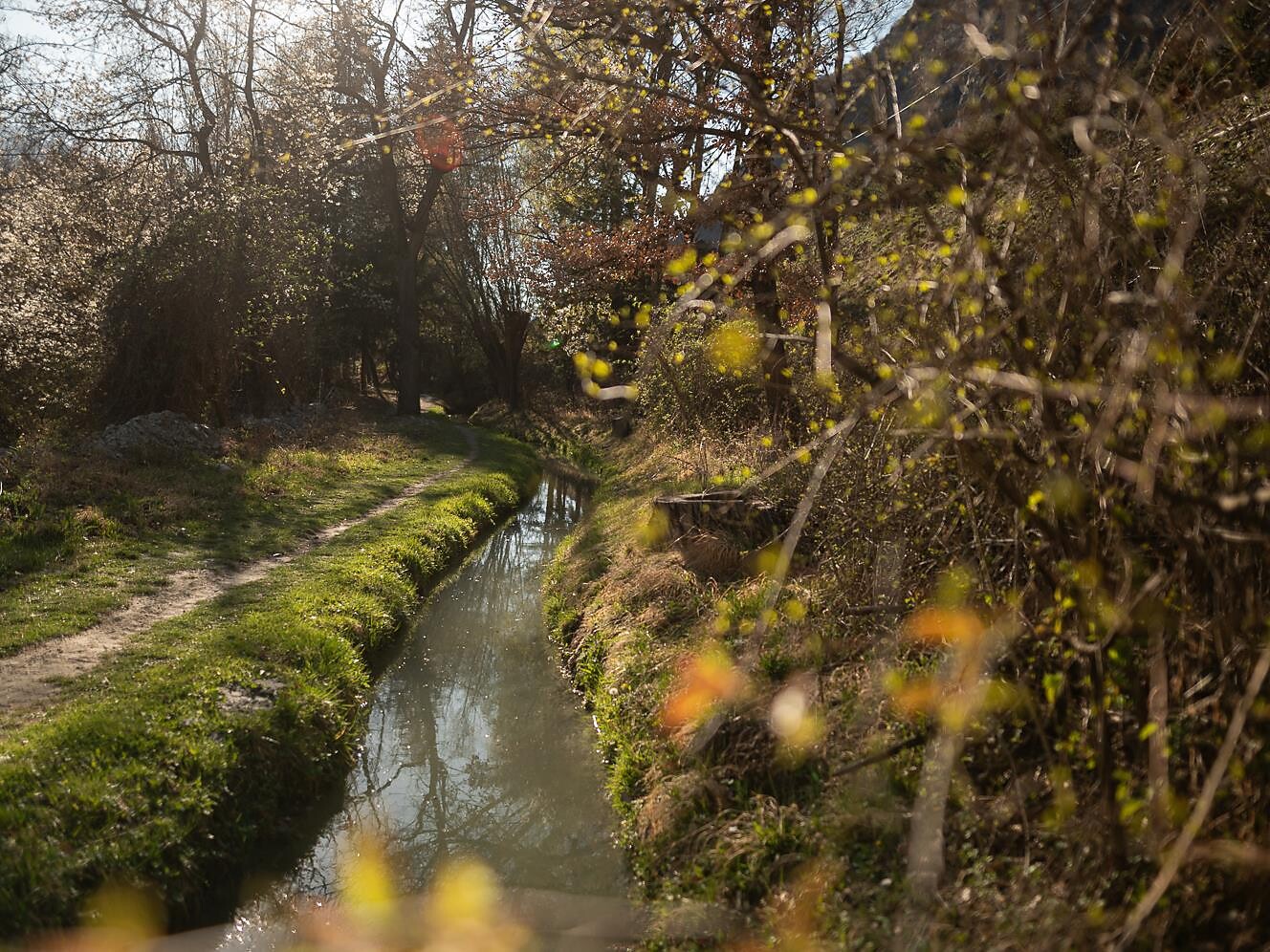 Juval Spring - Vinschgau/Val Venosta - #3 - suedtirol.info