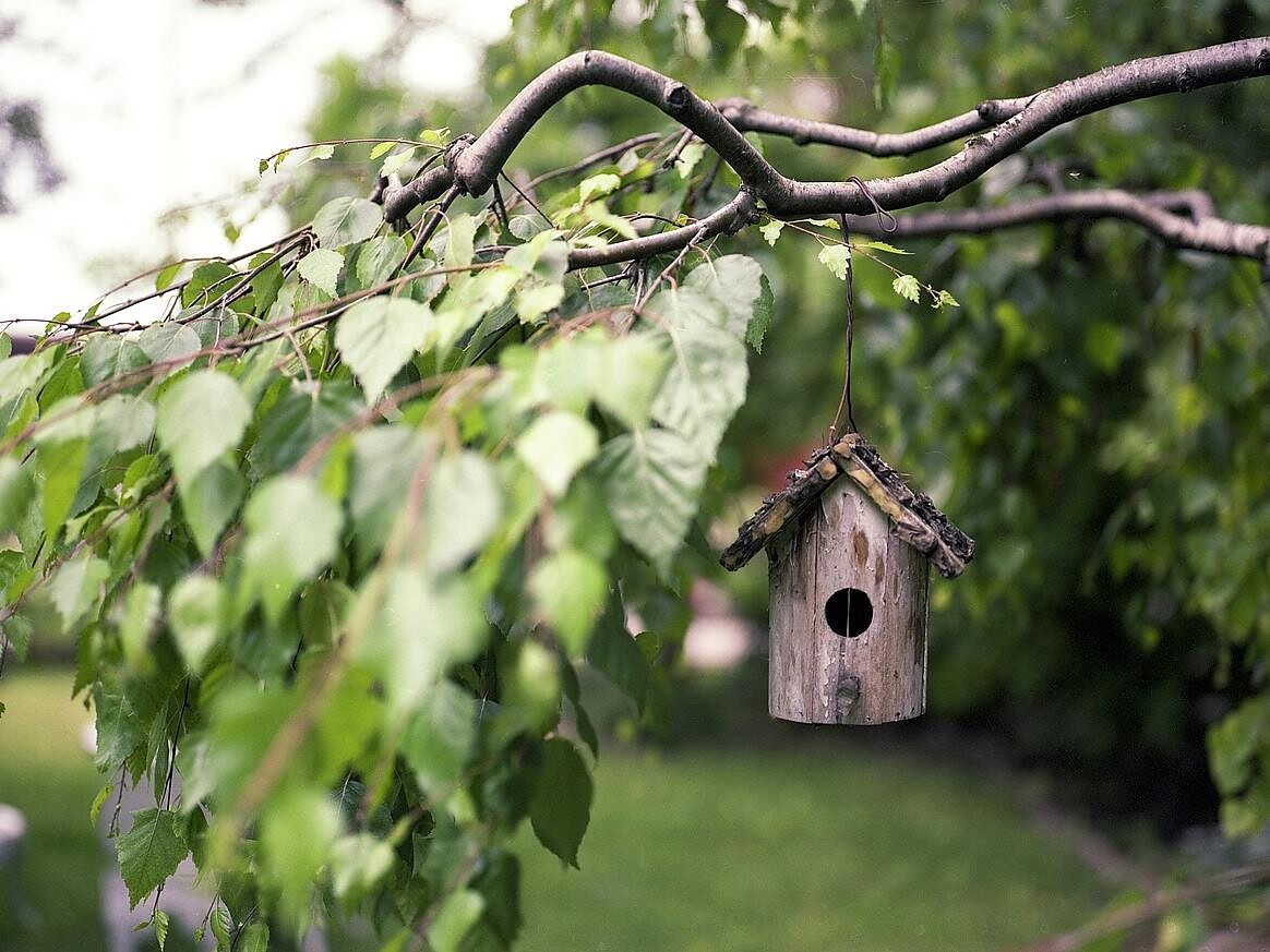 Kreativworkshop: Insekten und Vogelhäuschen bauen - Meran und Umgebung - #2 - suedtirol.info