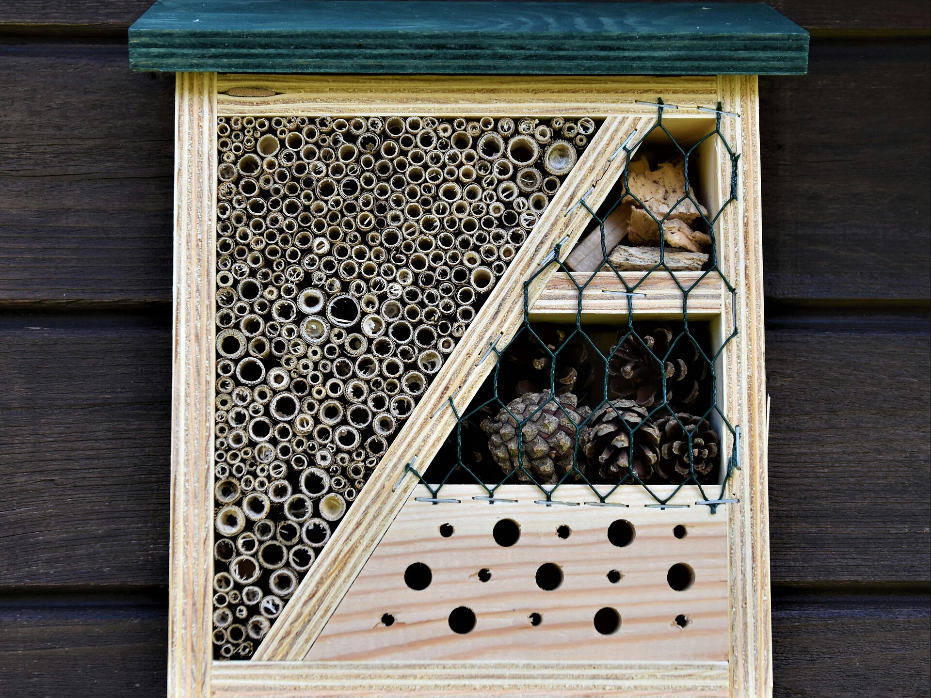 Kreativworkshop: Insekten und Vogelhäuschen bauen - Meran und Umgebung - #1 - suedtirol.info