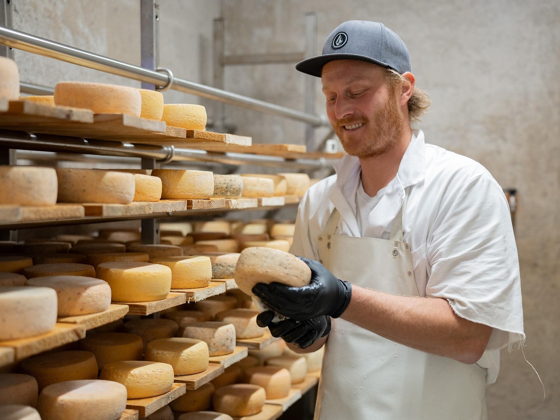 Discover Cheese Making and tasting at Wolfhof Farm dairy - Bolzano/Bozen and environs - #2 - suedtirol.info