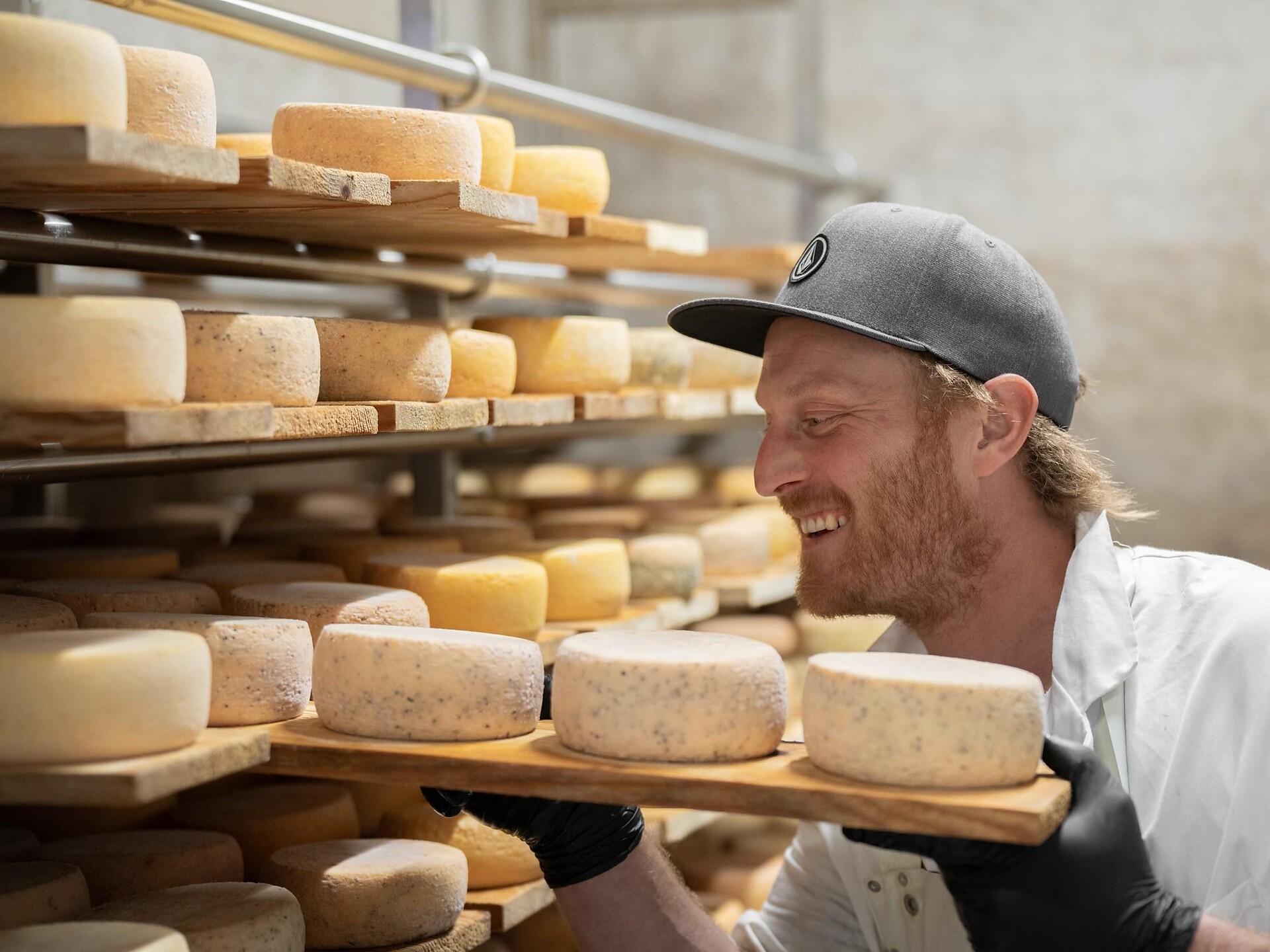 Discover Cheese Making and tasting at Wolfhof Farm dairy - Bolzano/Bozen and environs - #1 - suedtirol.info