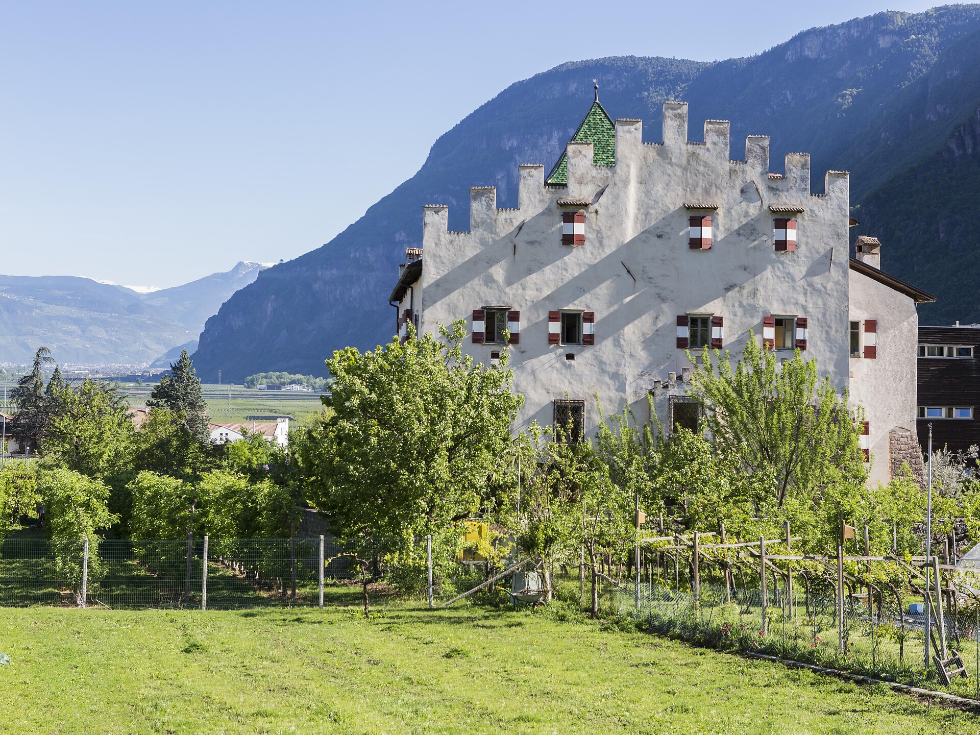 Visita guidata alla cantina del Happacherhof Ora 1 suedtirol.info