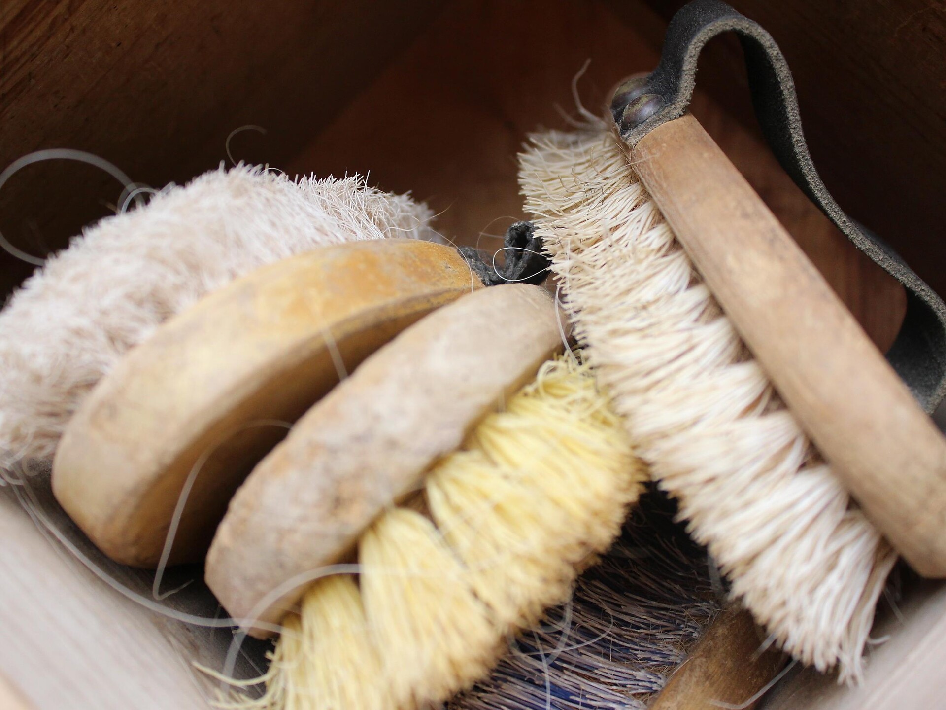 Kids am Reiterhof - Meran und Umgebung - #2 - suedtirol.info