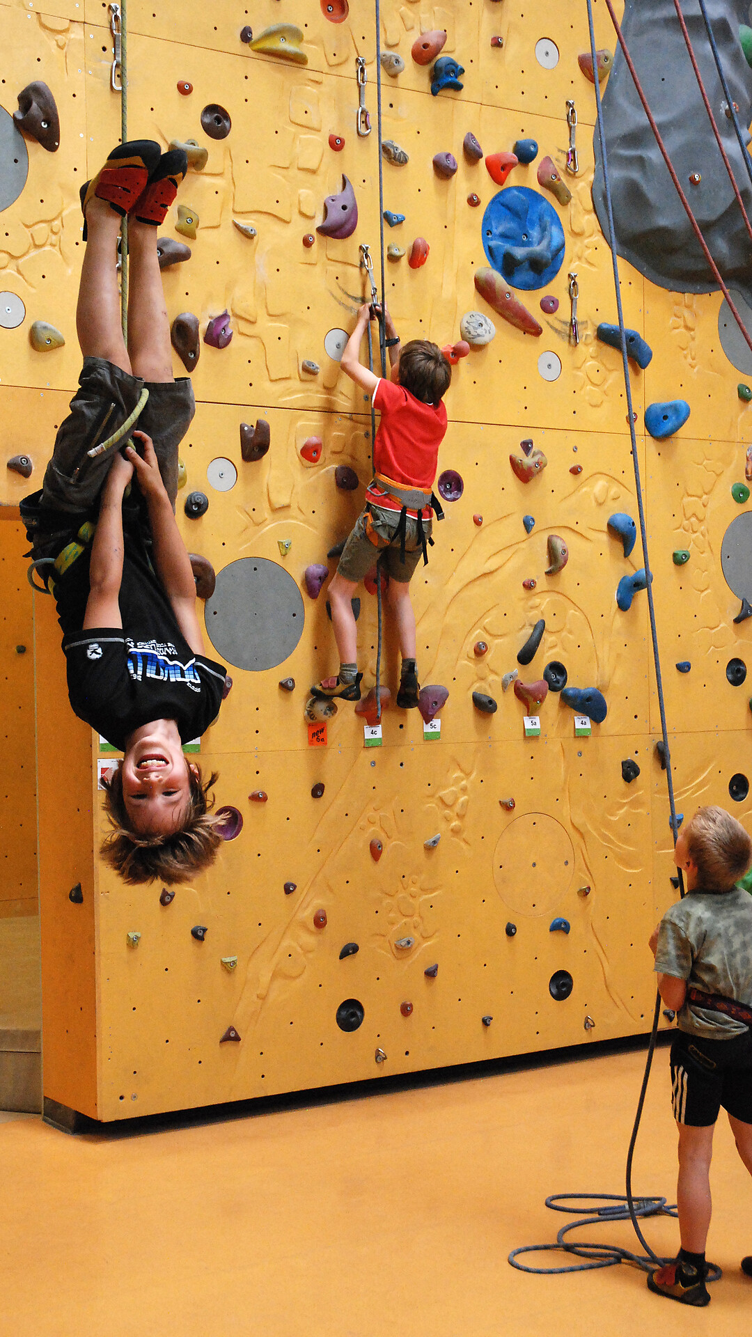 Climbing & climbing: children's climbing in the Rockarena Merano - Meran/Merano and environs - #2 - suedtirol.info
