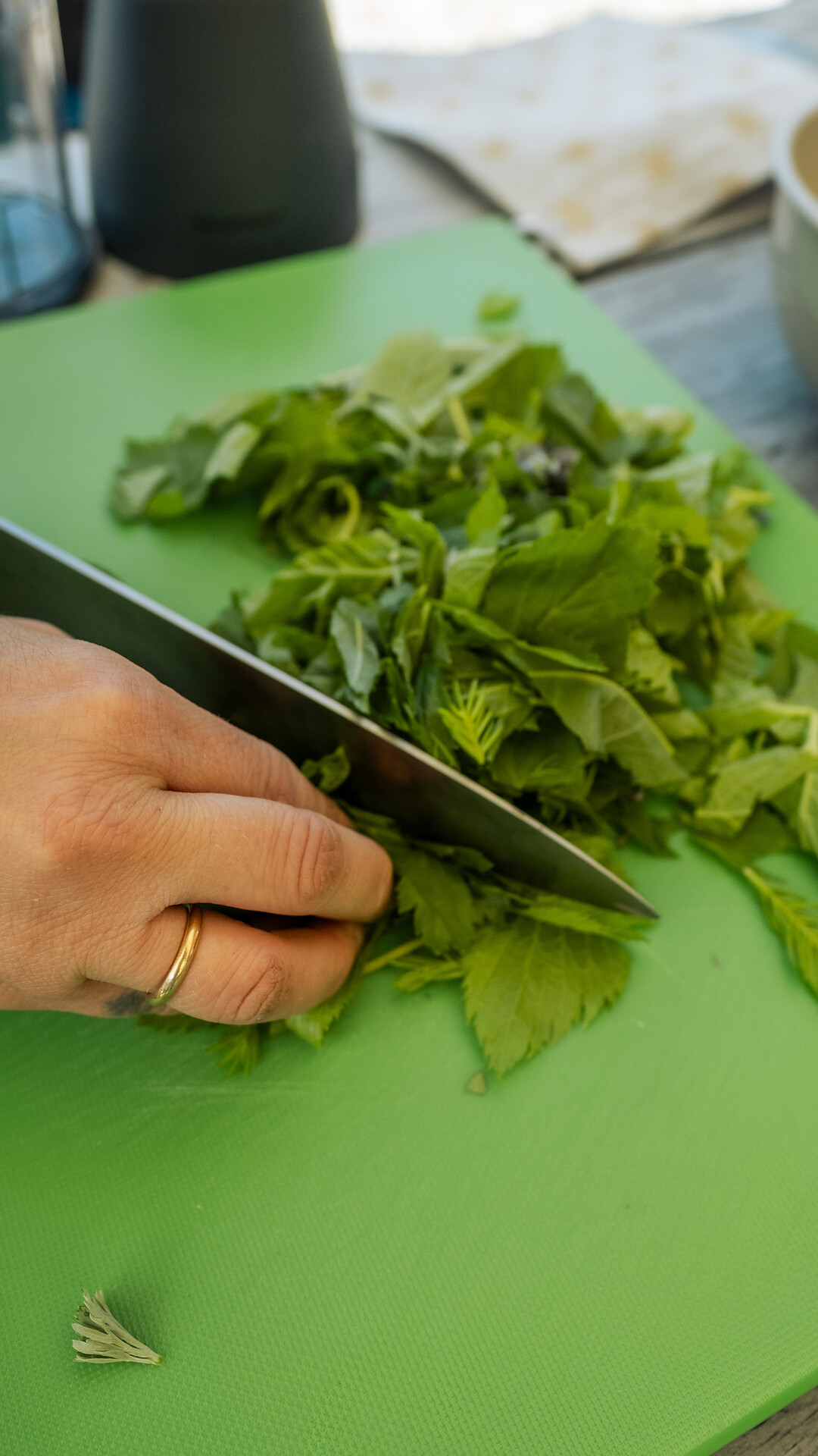 Escursione delle erbe al Monte Tramontana di Ciardes - Merano e dintorni - #5 - suedtirol.info