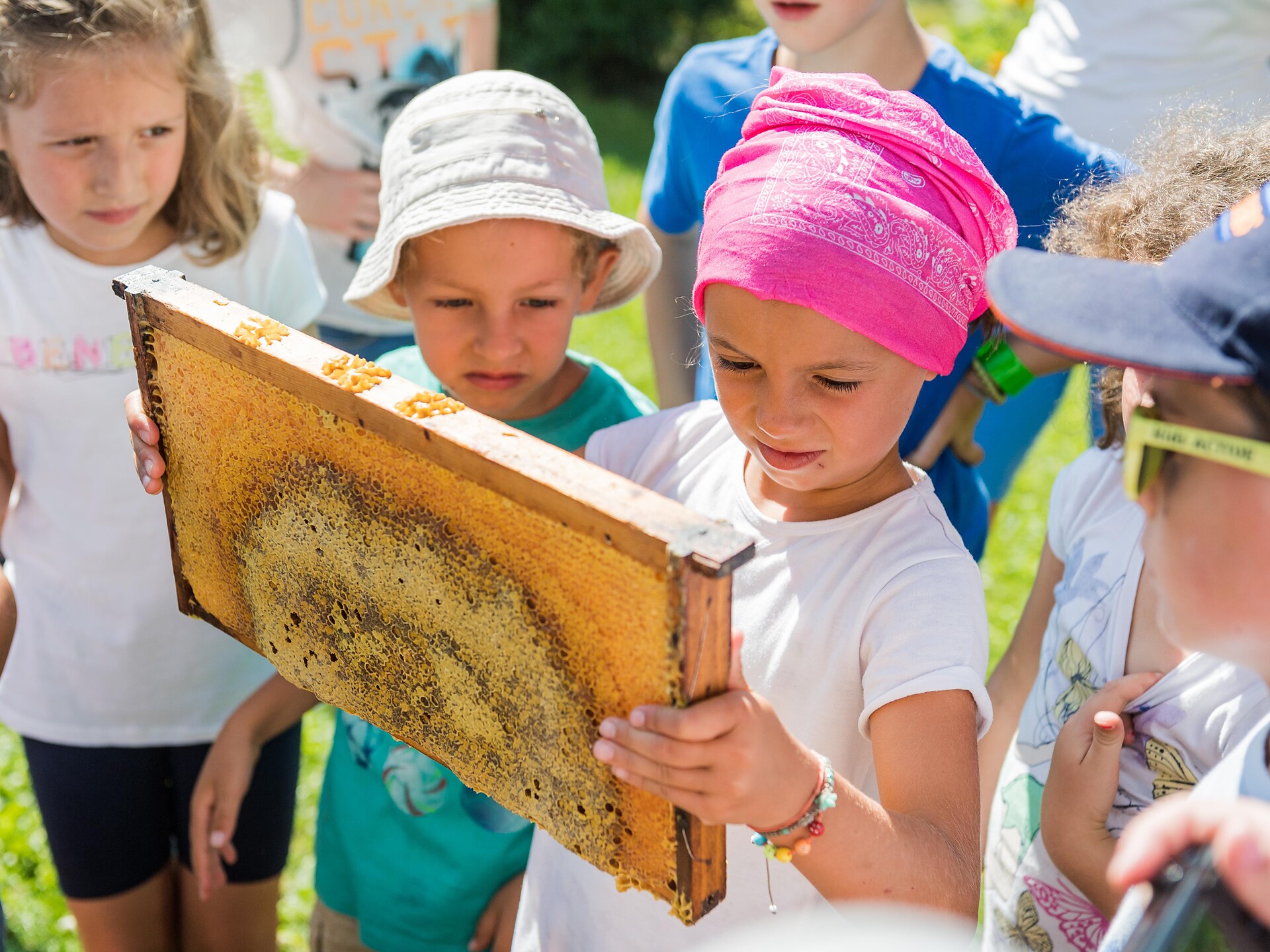 Kids Active: Von Miniaturwelten und fleißige Bienen - Dolomitenregion Gröden - #1 - suedtirol.info