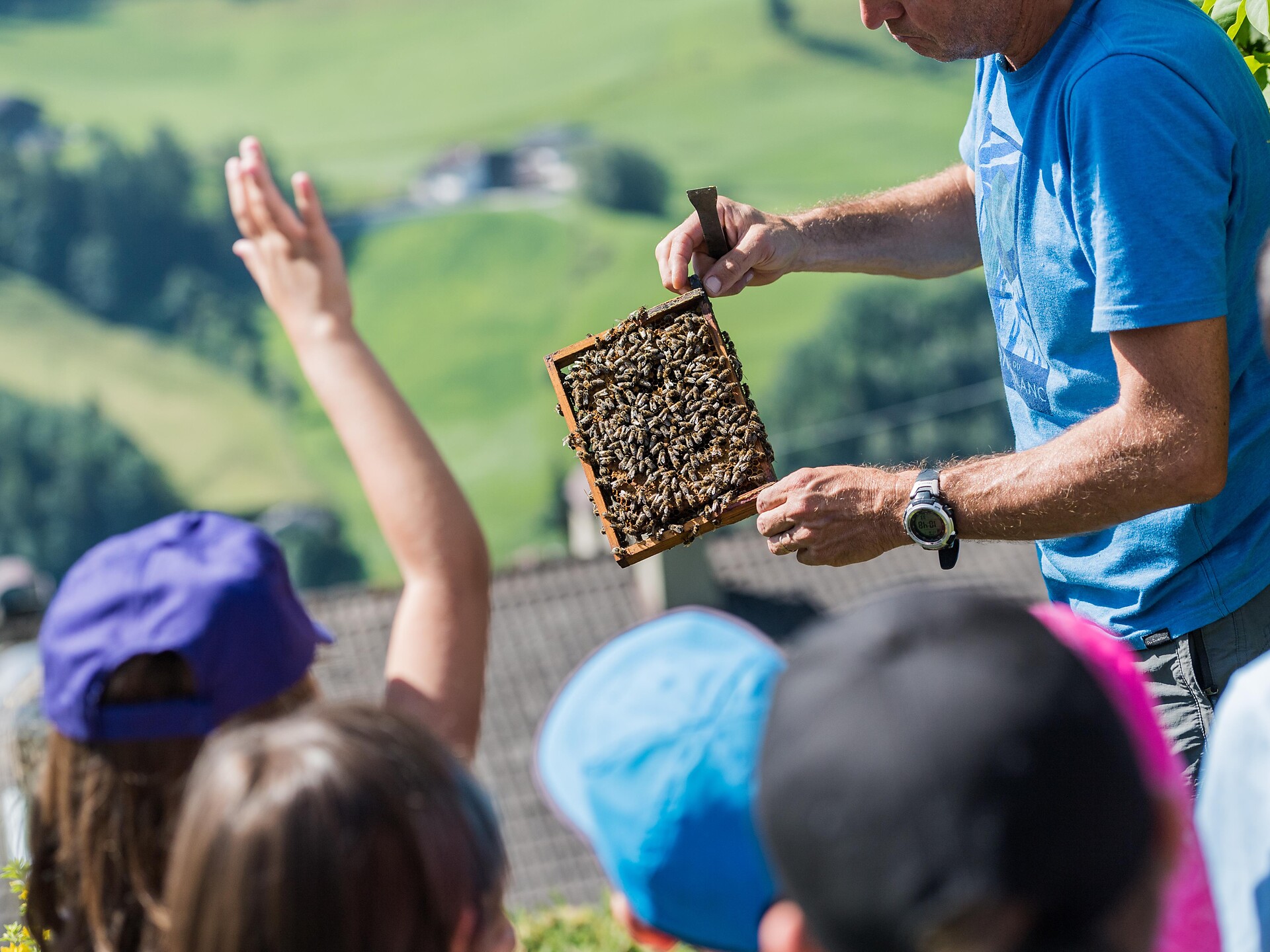 Kids Active: Von Miniaturwelten und fleißige Bienen - Dolomitenregion Gröden - #3 - suedtirol.info