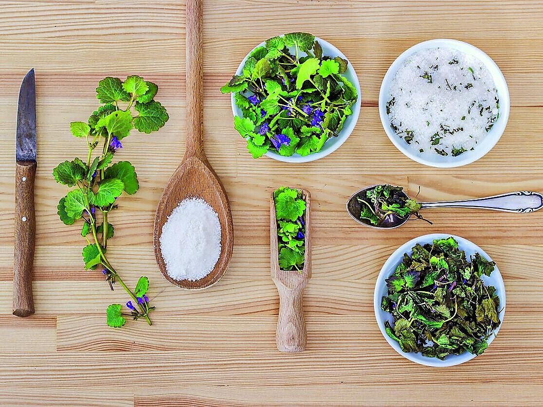 Kräuterführung am Großkemathof (TESANA) - Meran und Umgebung - #1 - suedtirol.info