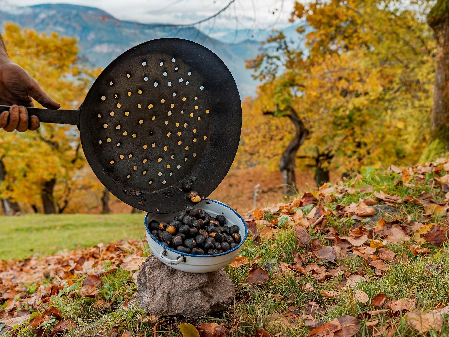 Chestnut roasting with the young farmers of Tesimo/Prissiano (KESCHTNRIGGL) - Meran/Merano and environs - #1 - suedtirol.info