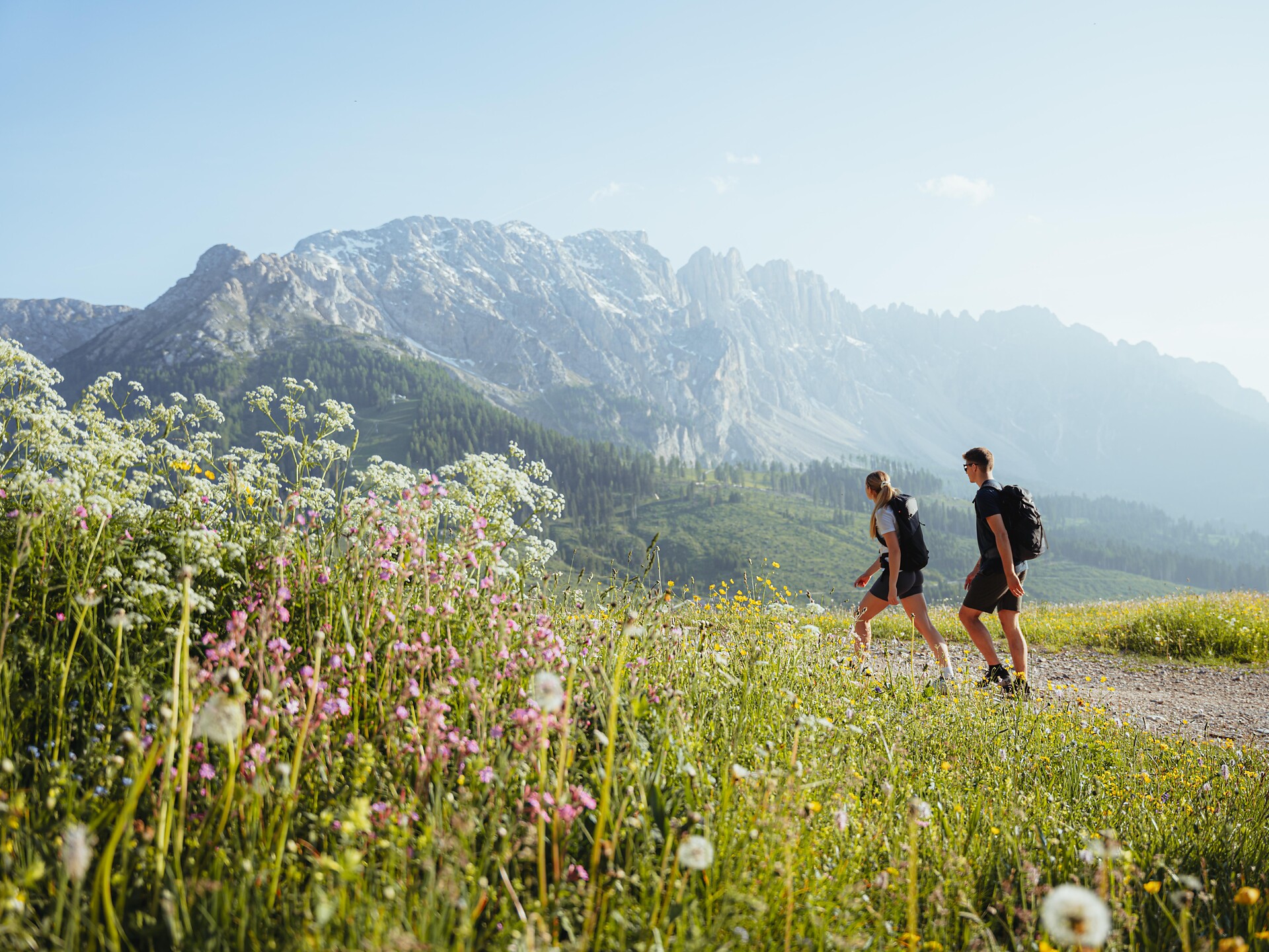 Kräuterwanderung zwischen Rosengarten und Latemar - Dolomitenregion Eggental - #1 - suedtirol.info