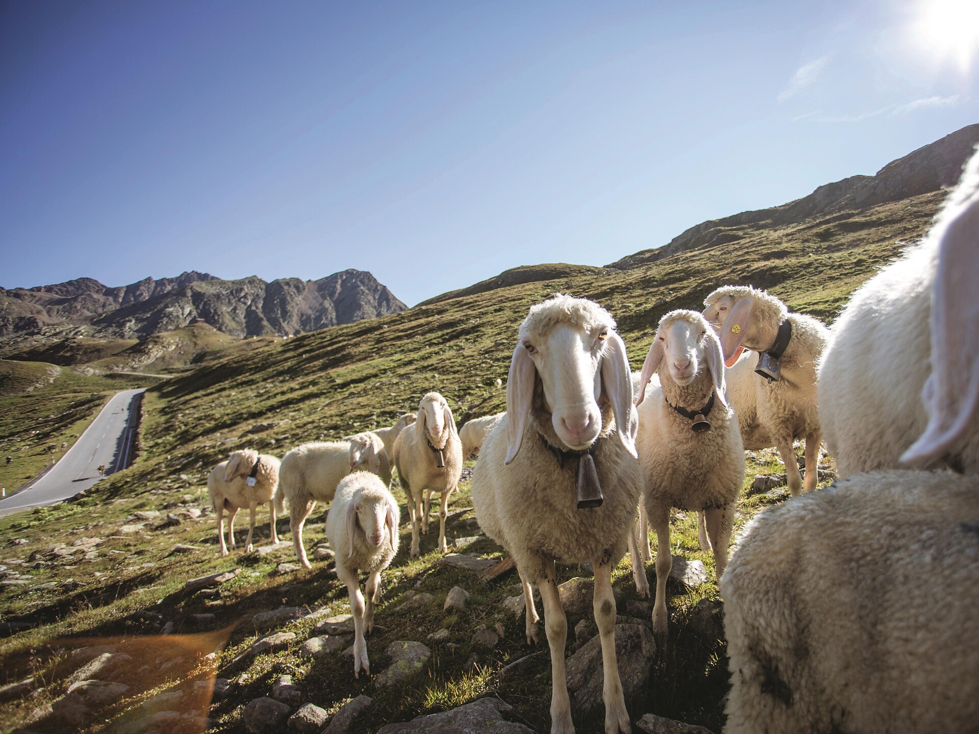 Kuppelwieser Markt - Meran und Umgebung - #2 - suedtirol.info