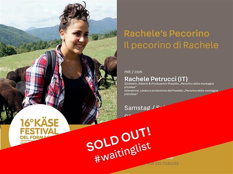 KÄSEFESTIVAL | Geschmacks-Erlebnis: Rachele's Pecorino - Ahrntal - #1 - suedtirol.info