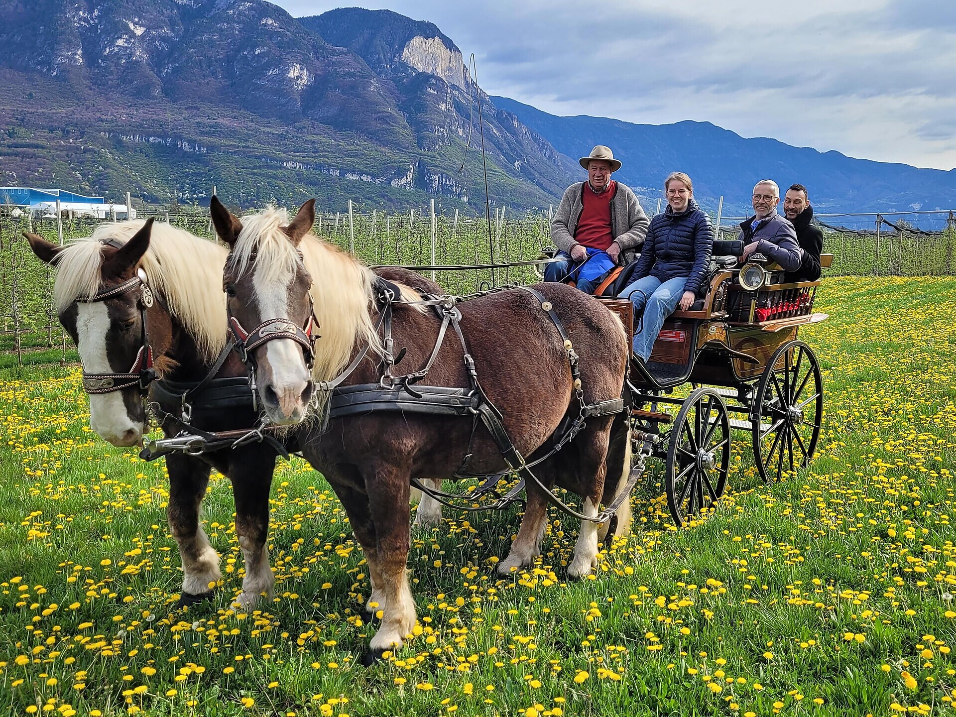 Giro in carrozza - Strada del Vino - #1 - suedtirol.info