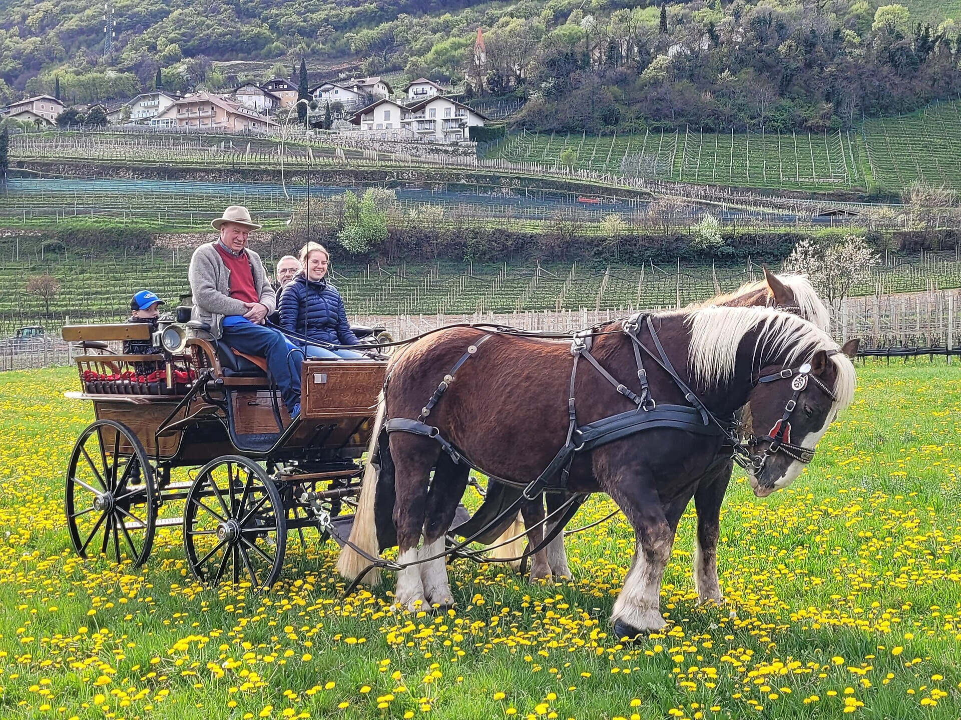 Kutschenfahrt mit Adolf Mayer - Südtiroler Weinstraße - #1 - suedtirol.info
