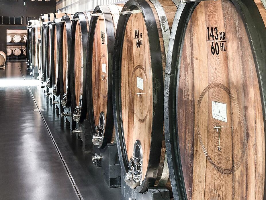 Kellerführung mit Sekt-. Wein- und Destillatverkostung Algund 1 suedtirol.info