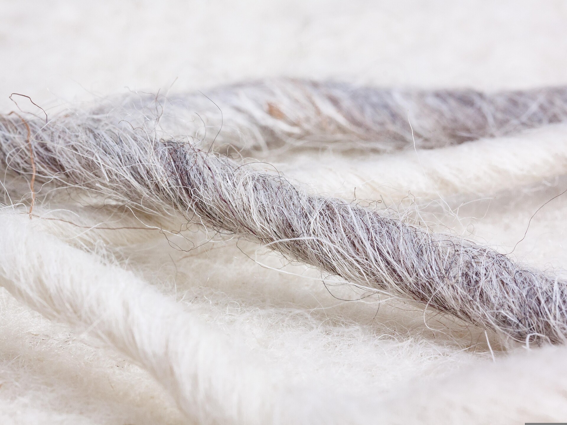 Visita guidata sulle erbe - Merano e dintorni - #1 - suedtirol.info