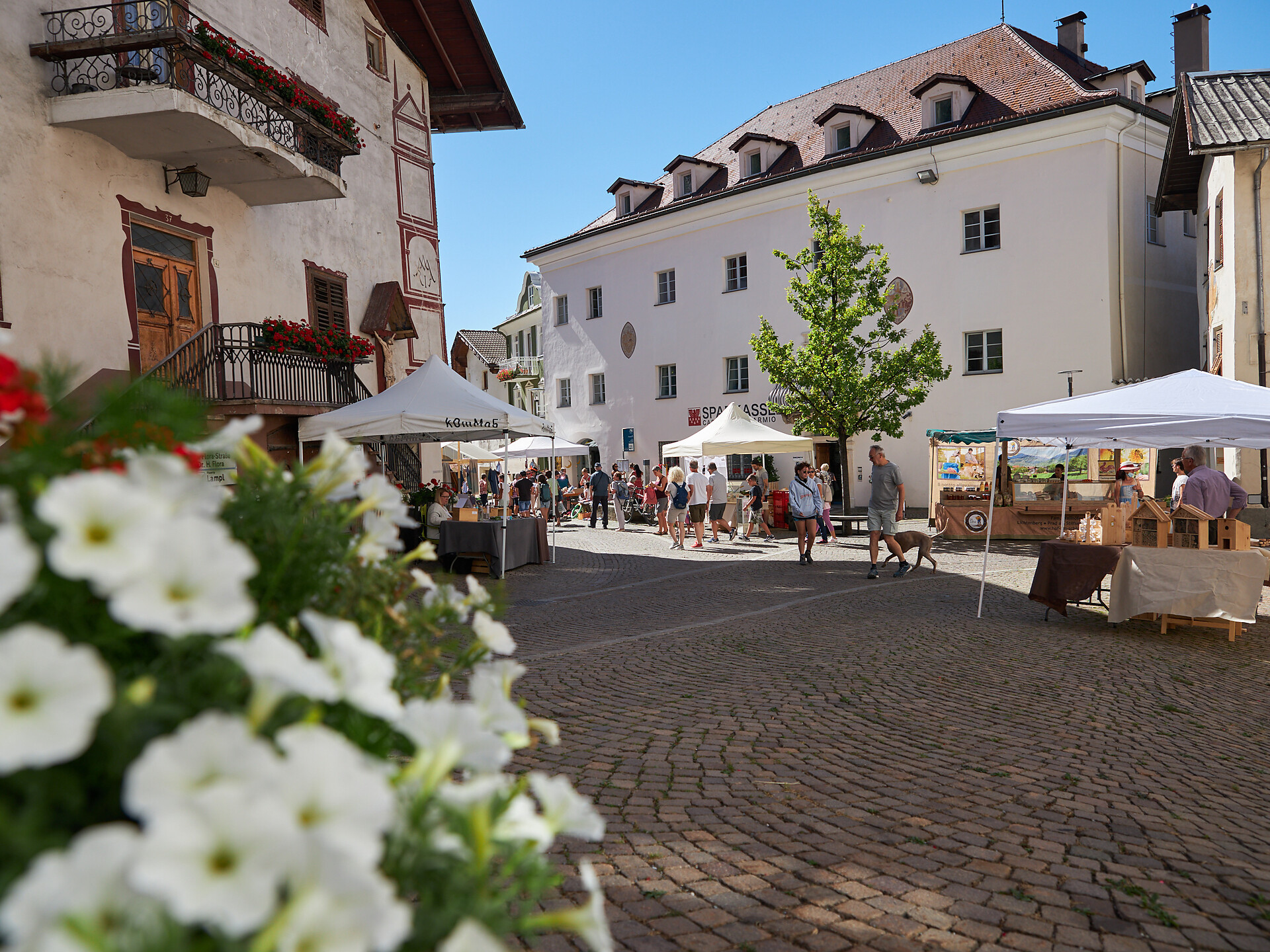 Colorful market - Vinschgau/Val Venosta - #1 - suedtirol.info