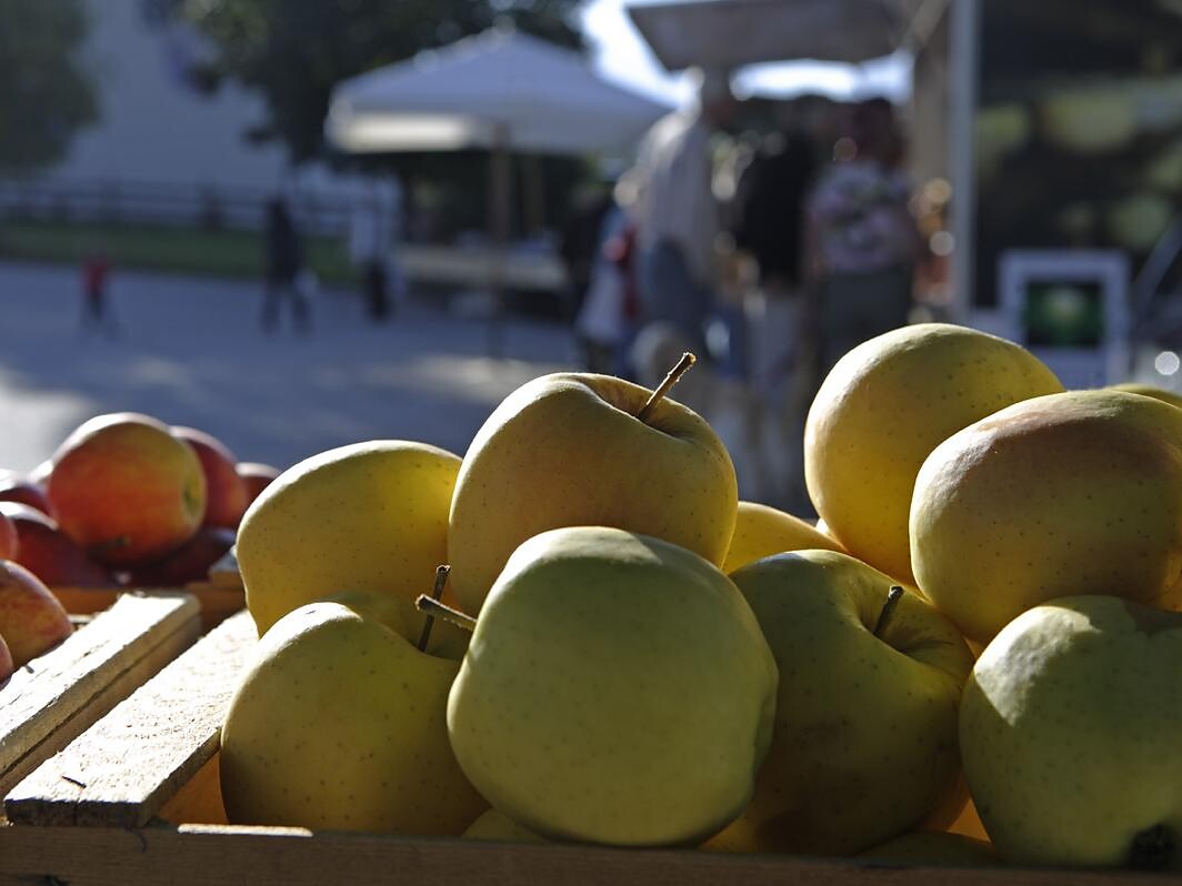 Mercatino settimanale Renon 1 suedtirol.info