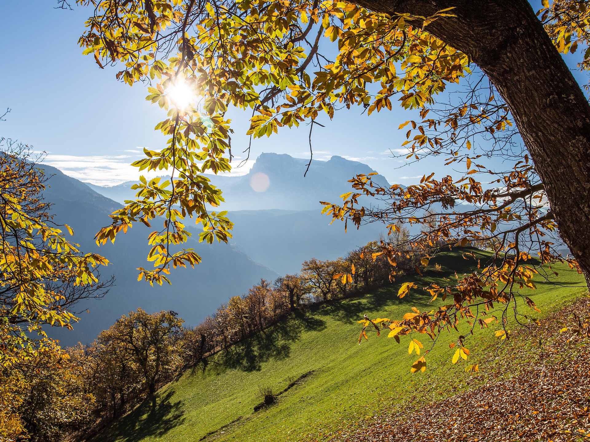 Caldarroste a Barbiano - Bressanone e dintorni - #2 - suedtirol.info