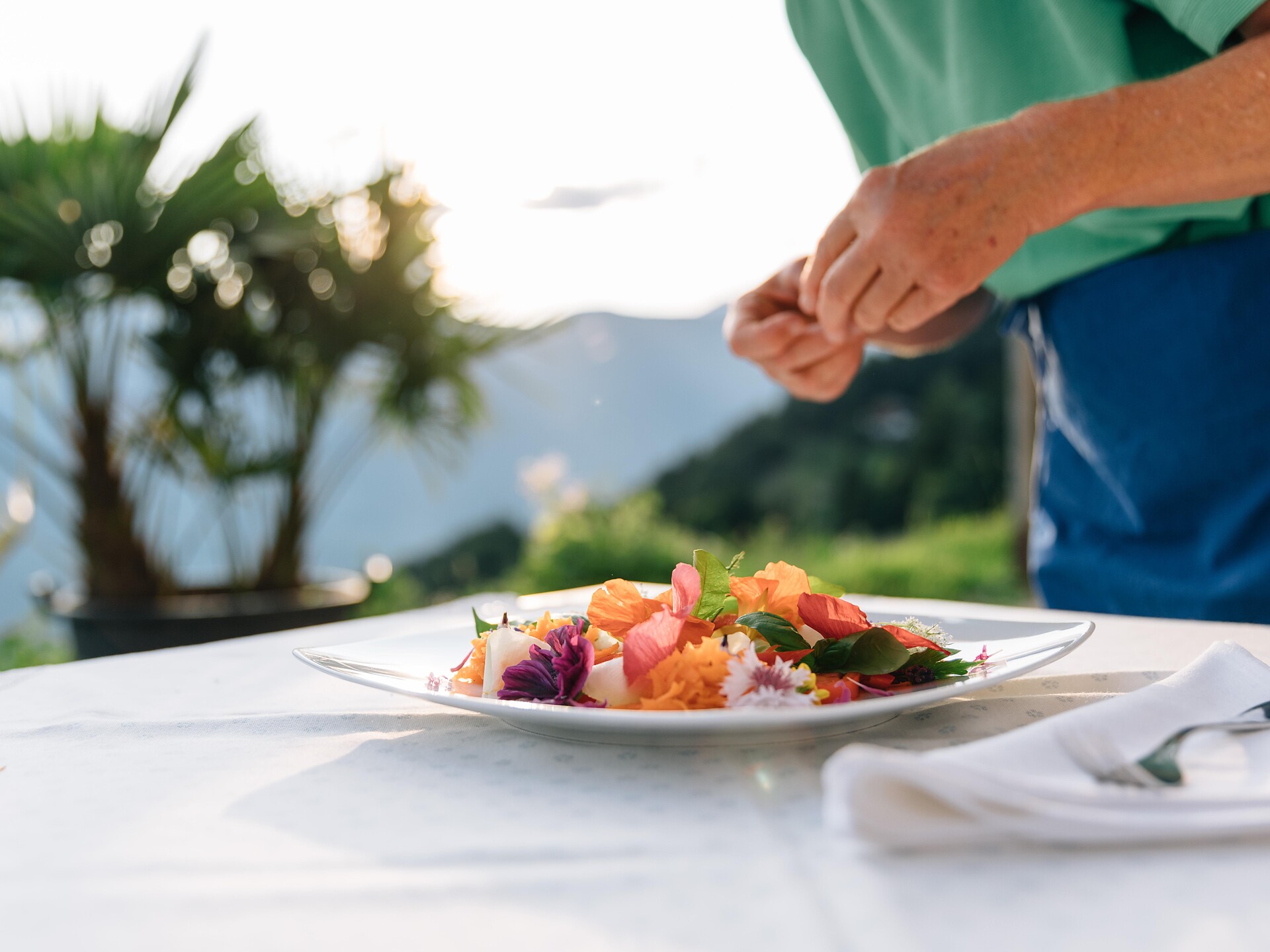 Conoscenza delle erbe – Una passeggiata per l'anima - Merano e dintorni - #3 - suedtirol.info