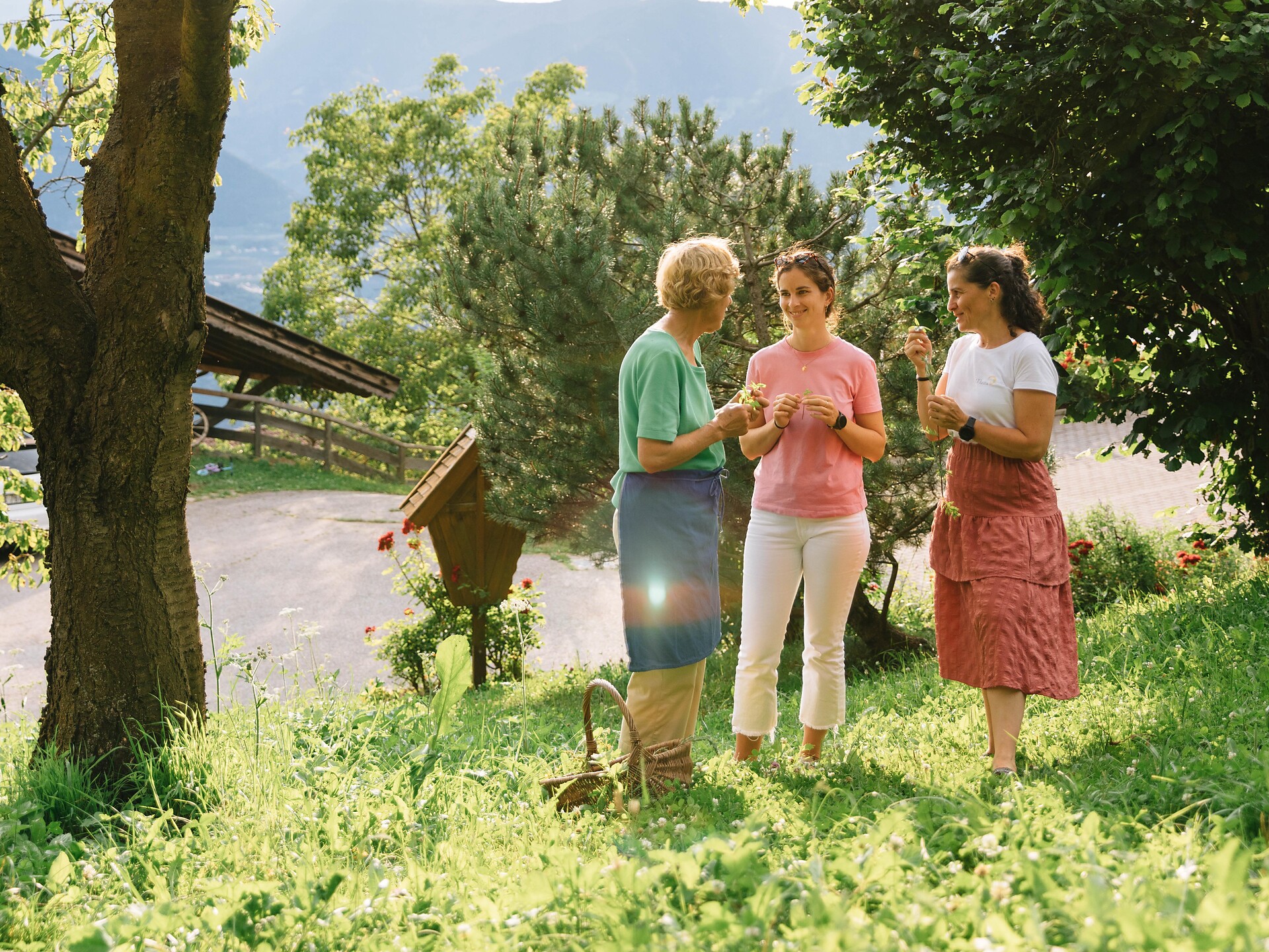 Conoscenza delle erbe – Una passeggiata per l'anima - Merano e dintorni - #2 - suedtirol.info