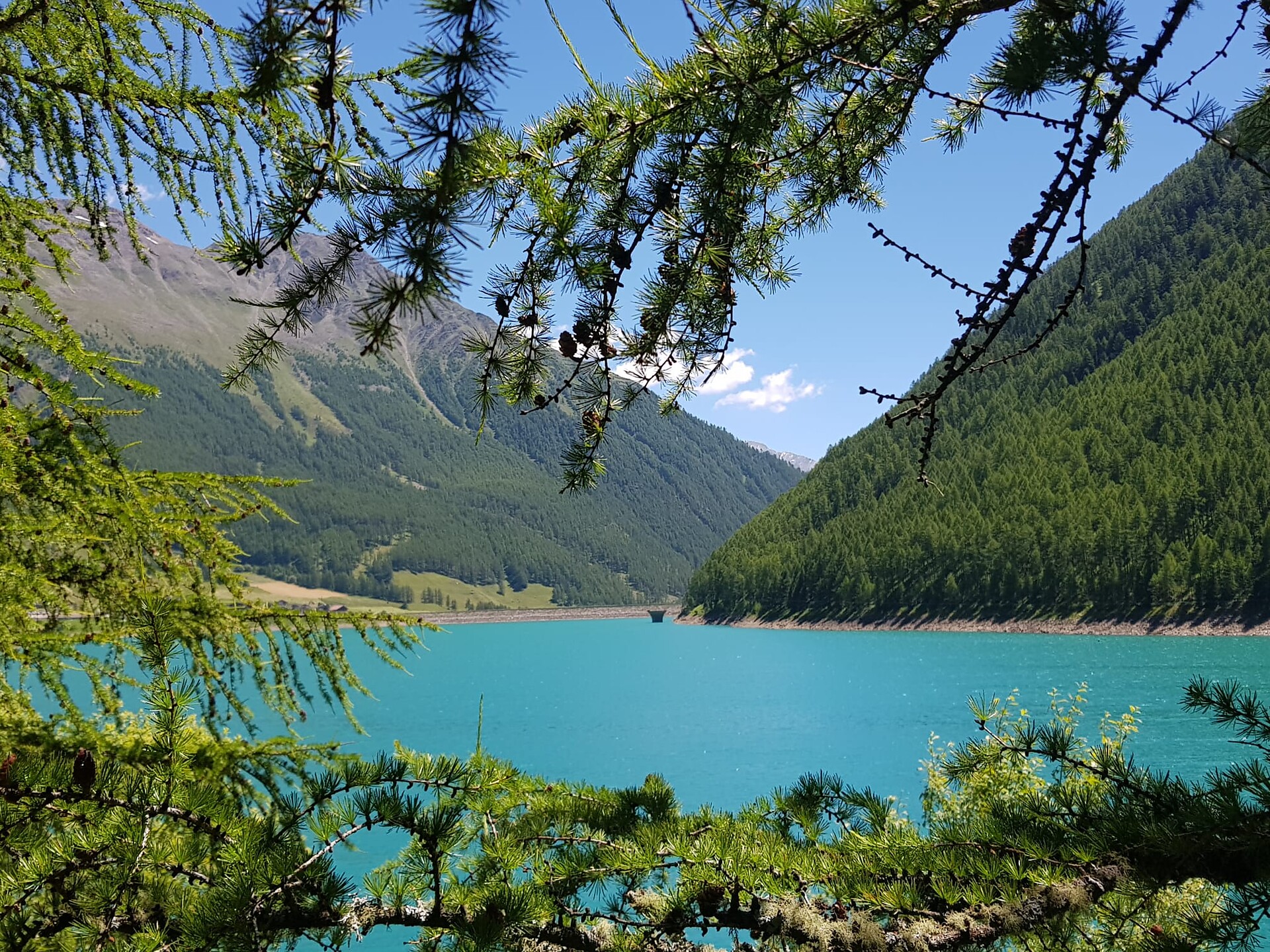 Escursione storica e culturale dei masi - Val Venosta - #1 - suedtirol.info