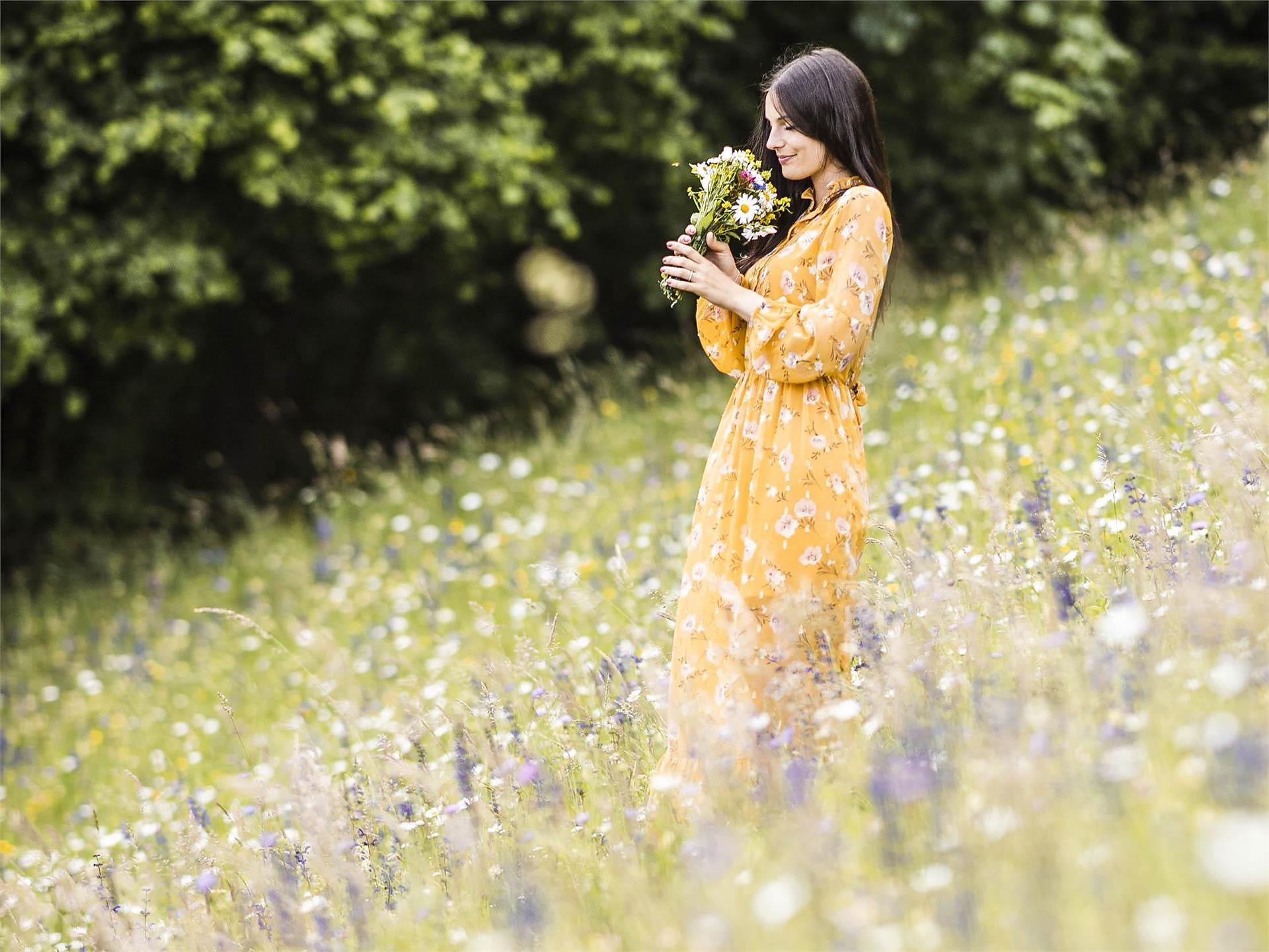 Kräuterwanderung in Aschbach - Meran und Umgebung - #1 - suedtirol.info