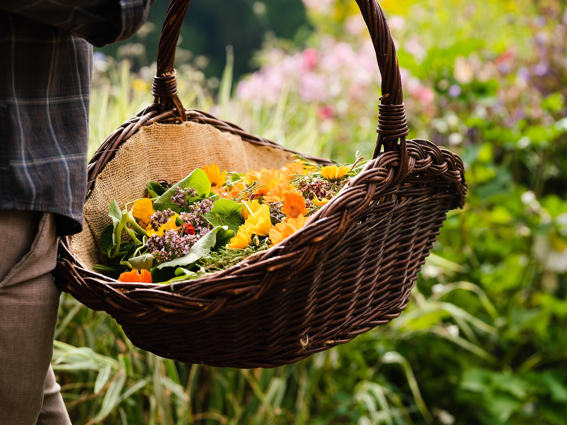 Kräutergarten-Führung - Vinschgau - #1 - suedtirol.info