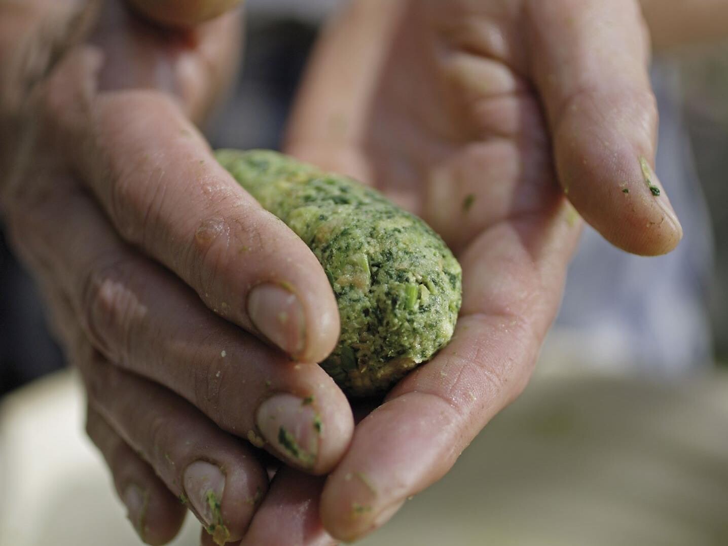 Kochworkshop - traditionelle Frühlingsgerichte - Brixen und Umgebung - #1 - suedtirol.info