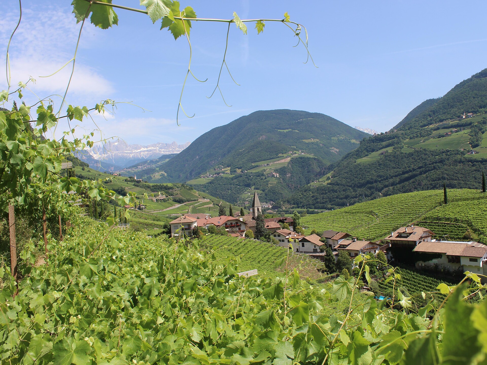 Art e wine - guided tour with wine tasting - Eberlehof winery - Bolzano/Bozen and environs - #2 - suedtirol.info