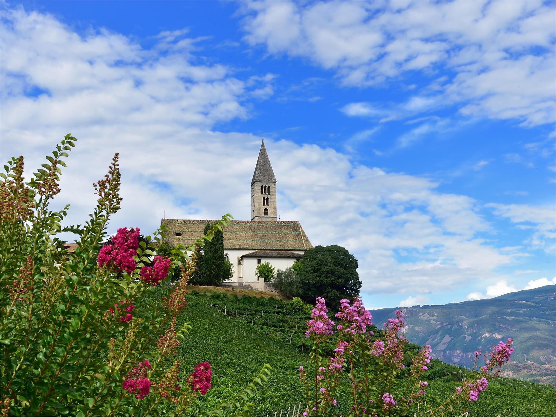 Kirchenführung, Besichtigung der Wallfahrtskirche St. Vigilius in Kurtatsch - Südtiroler Weinstraße - #1 - suedtirol.info