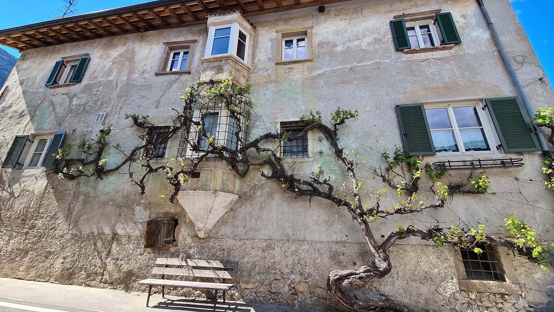 Cortina sulla strada del vino: la piccola Venezia nella Valle d'Adige - Strada del Vino - #3 - suedtirol.info