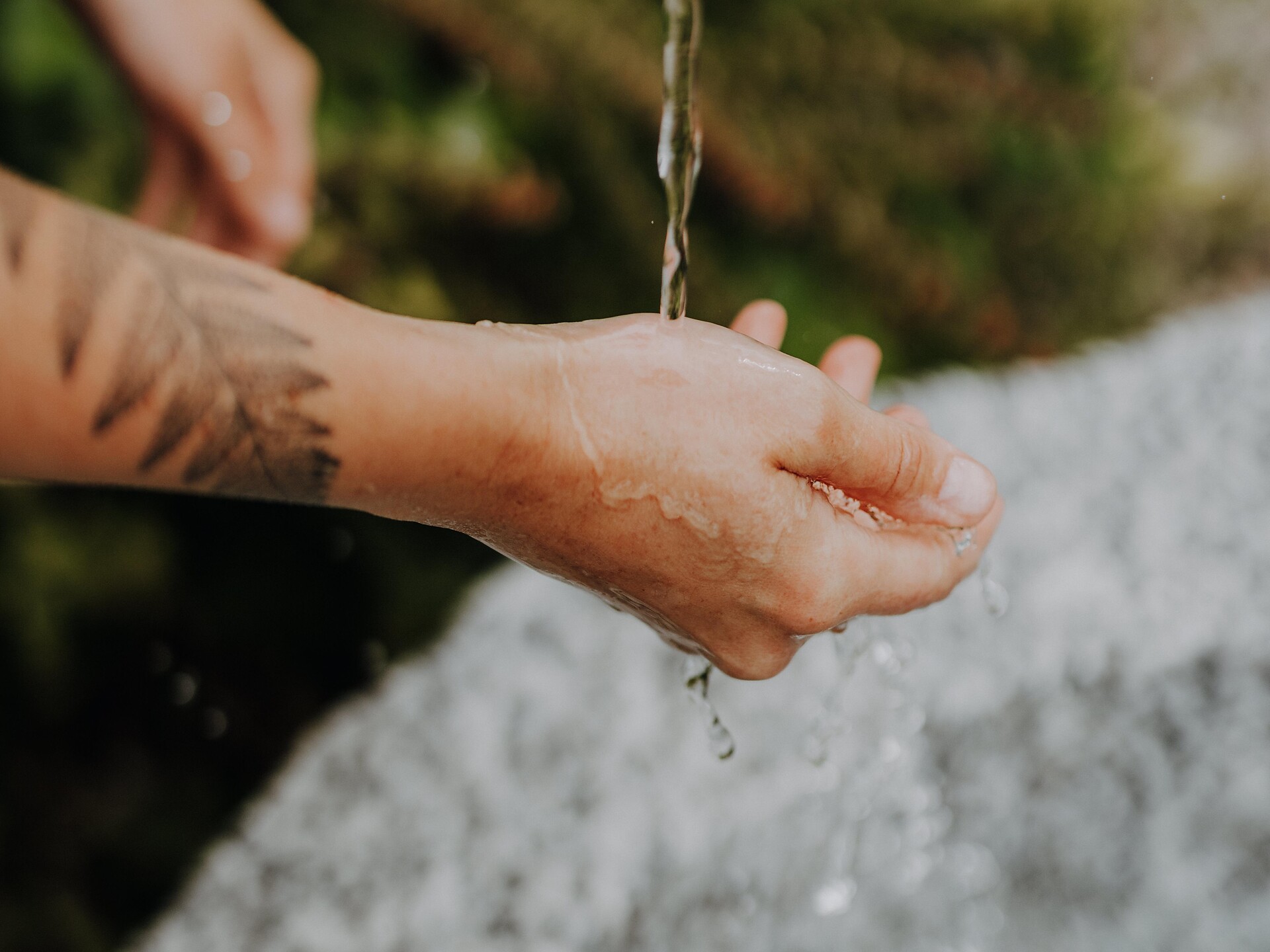 Benessere Kneipp (Erbe selvatiche, conoscenza delle piante medicinali, benessere Lana 2 suedtirol.info