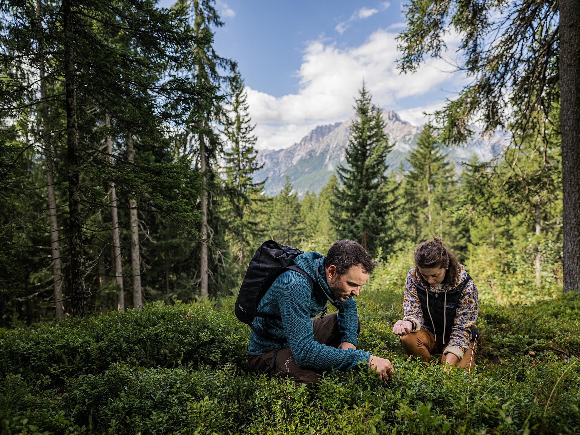 Escursione delle erbe - Regione dolomitica 3 Cime - #1 - suedtirol.info