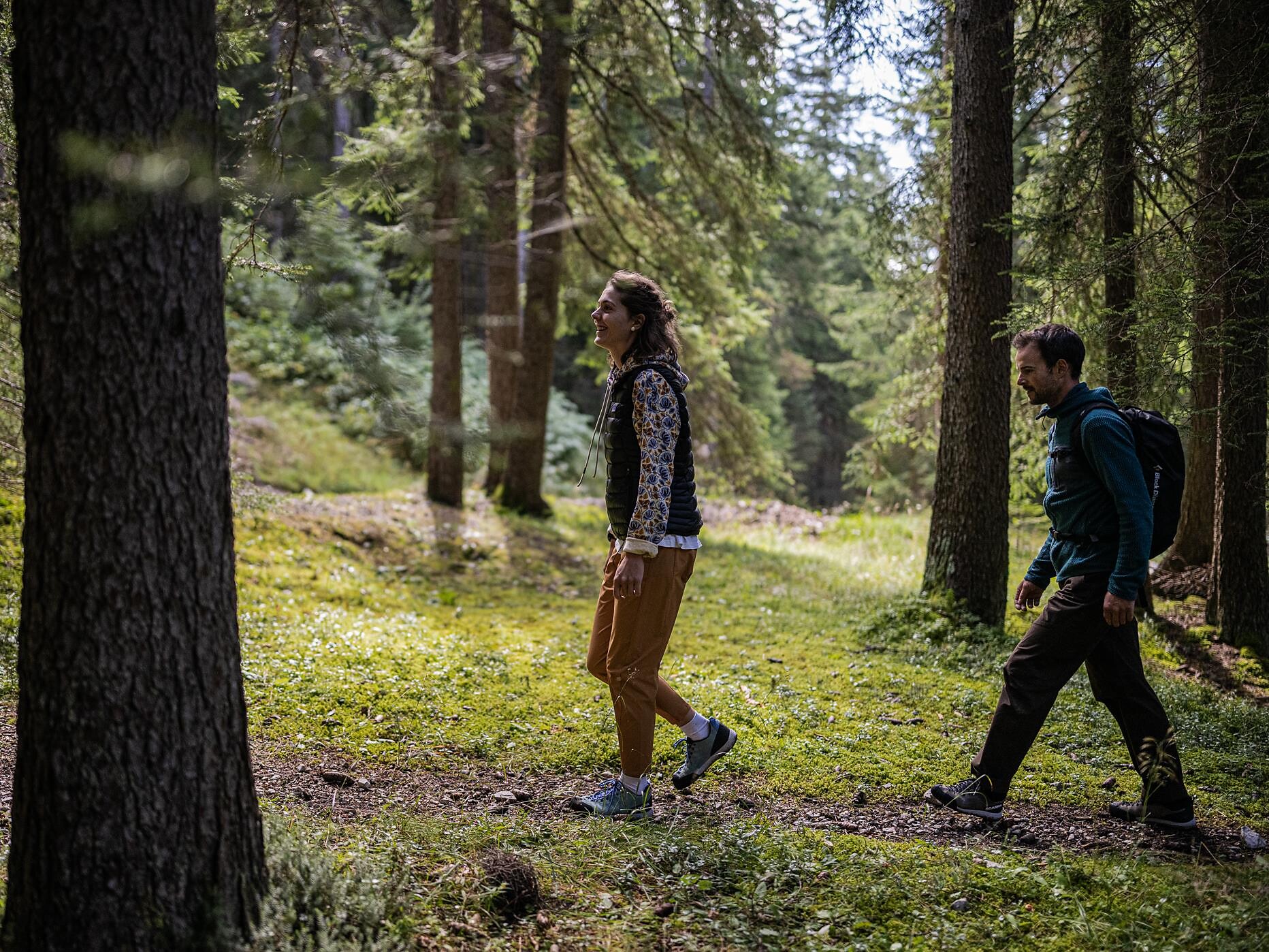 Escursione delle erbe - Regione dolomitica 3 Cime - #2 - suedtirol.info