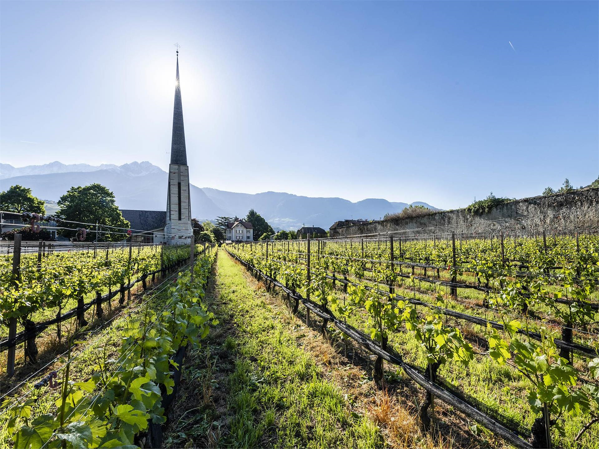 Kirchenführung durch die Pfarrkirche zum Hl. Josef - Meran und Umgebung - #1 - suedtirol.info