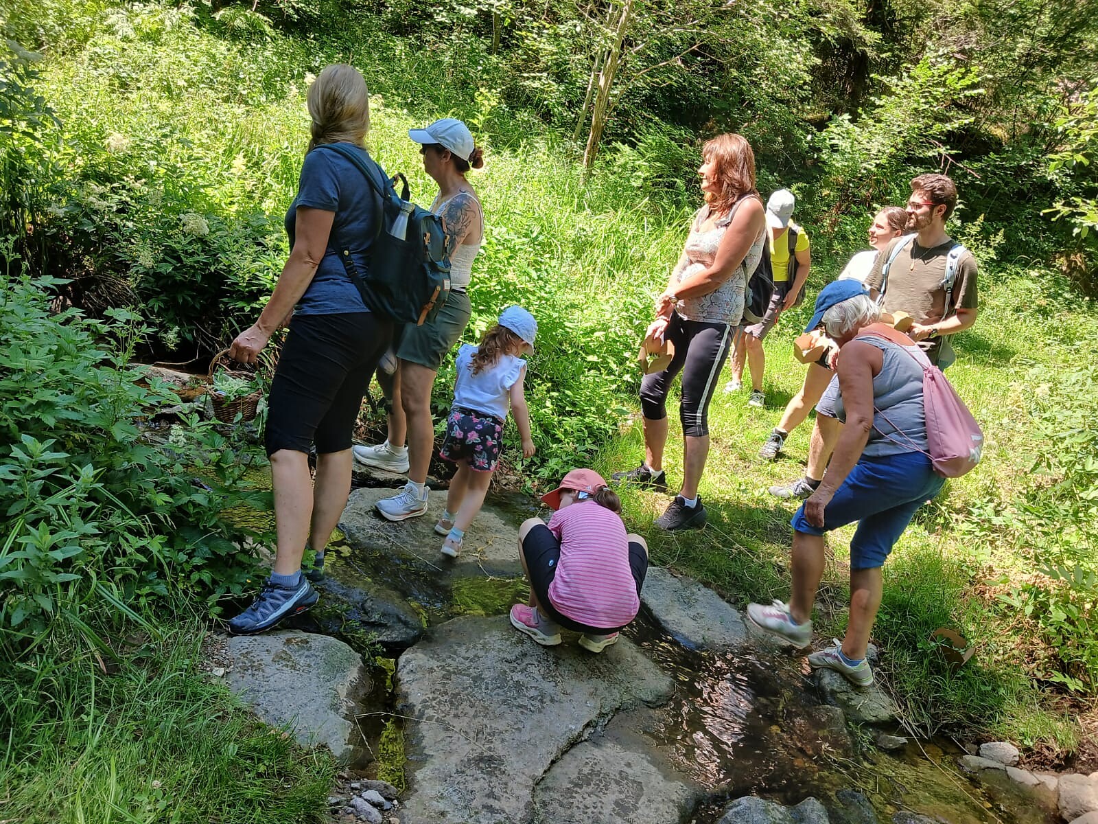 Kräuterwanderung in Steinegg - Heilpflanzen entdecken - Dolomitenregion Eggental - #1 - suedtirol.info