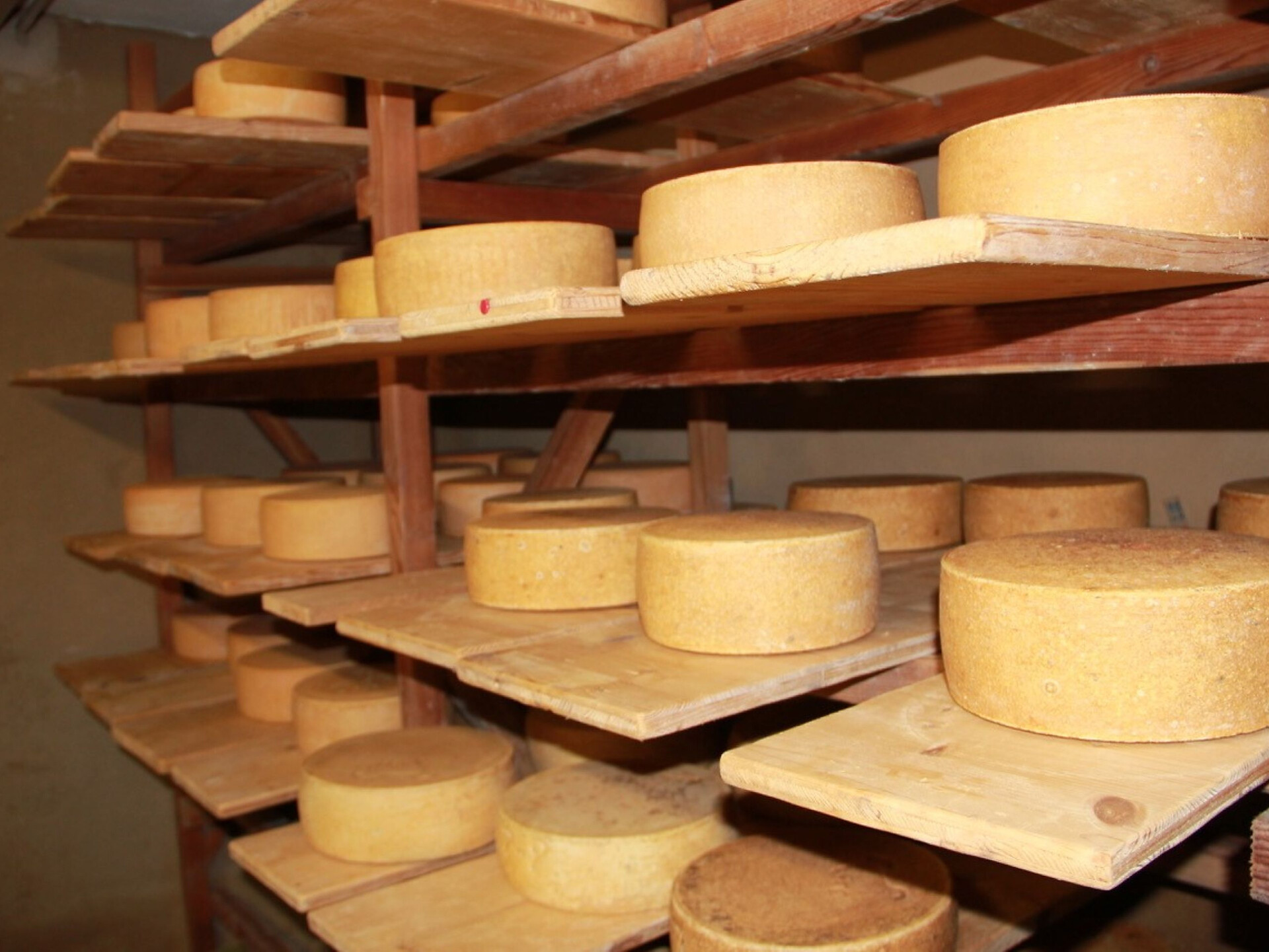 Formaggio da vivere – Tradizione, gusto e scoperta - Merano e dintorni - #2 - suedtirol.info