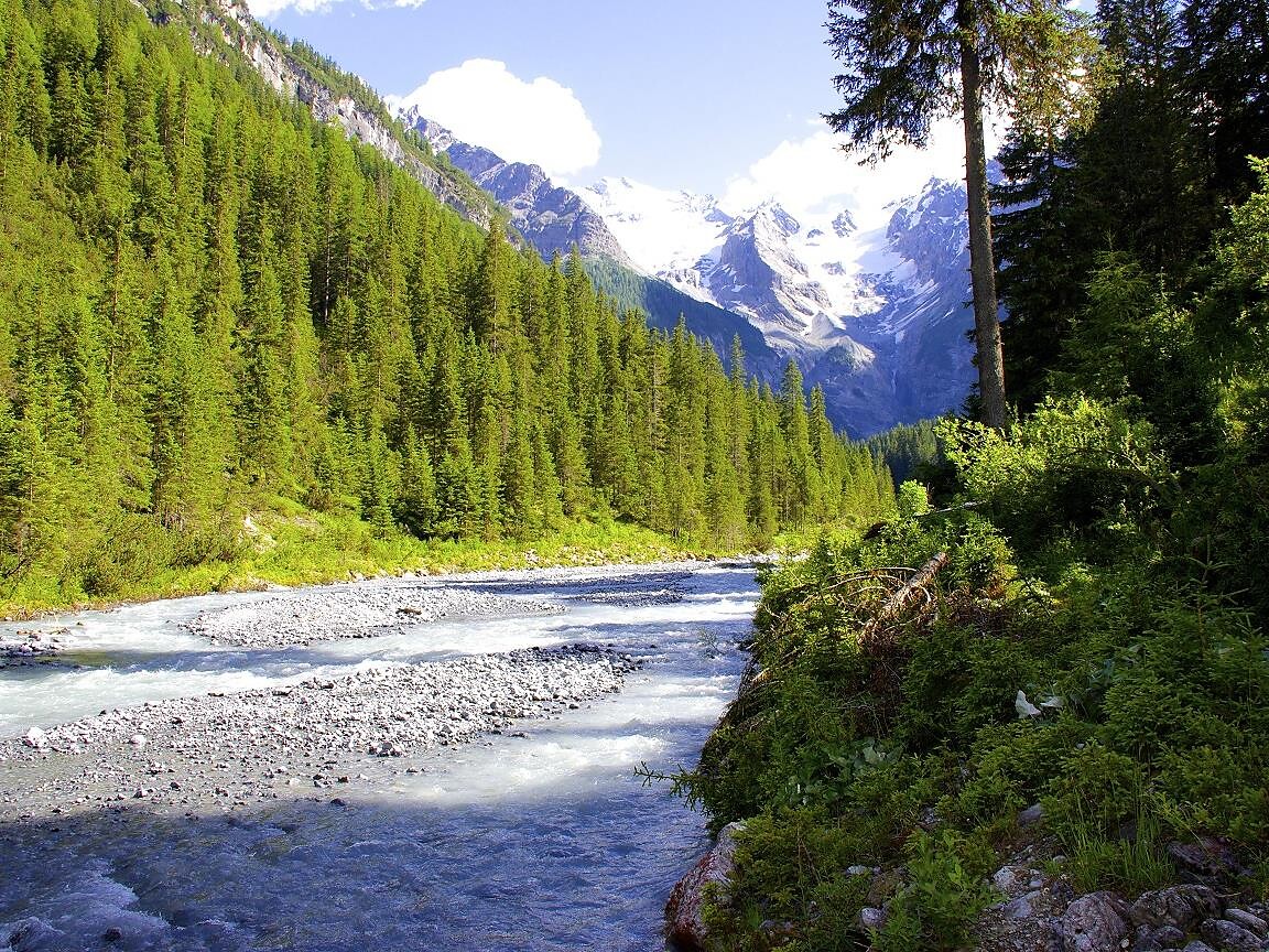 Escursione lungo il sentiero alle erbe "Flora Traful" - Val Venosta - #3 - suedtirol.info