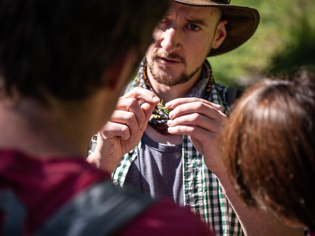 Escursione lungo il sentiero alle erbe "Flora Traful" - Val Venosta - #1 - suedtirol.info